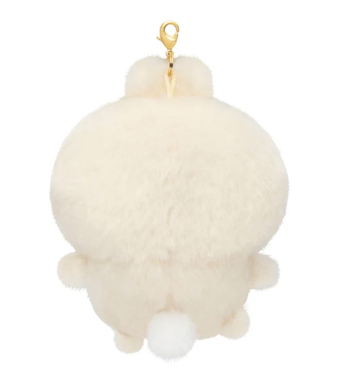 截屏2026-01-23 17.03.53.png