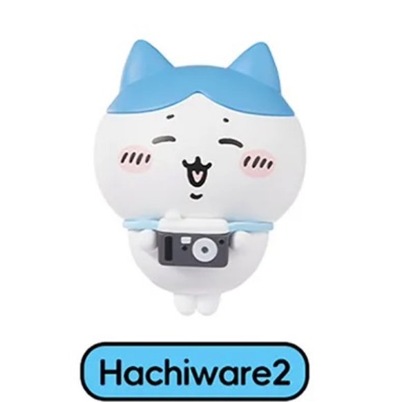 hachi2.jpg