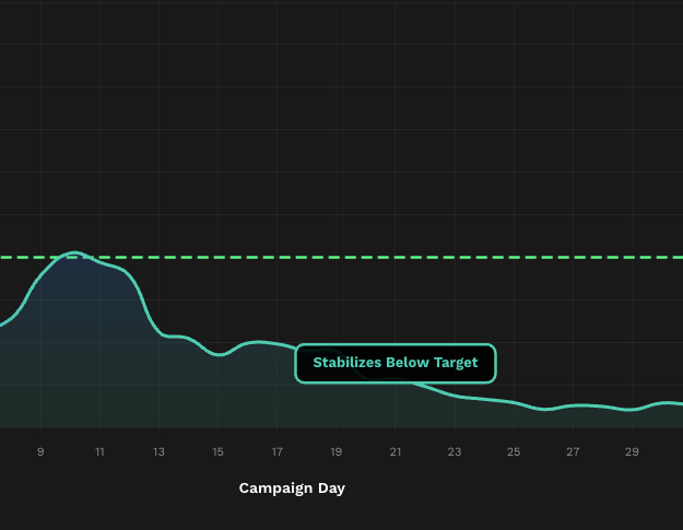 TikTok Ads Case Study - The 7-Day Rule