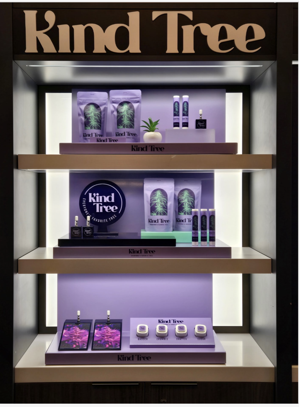 Screenshot 2024-06-25 at 4.16.25 PM.png