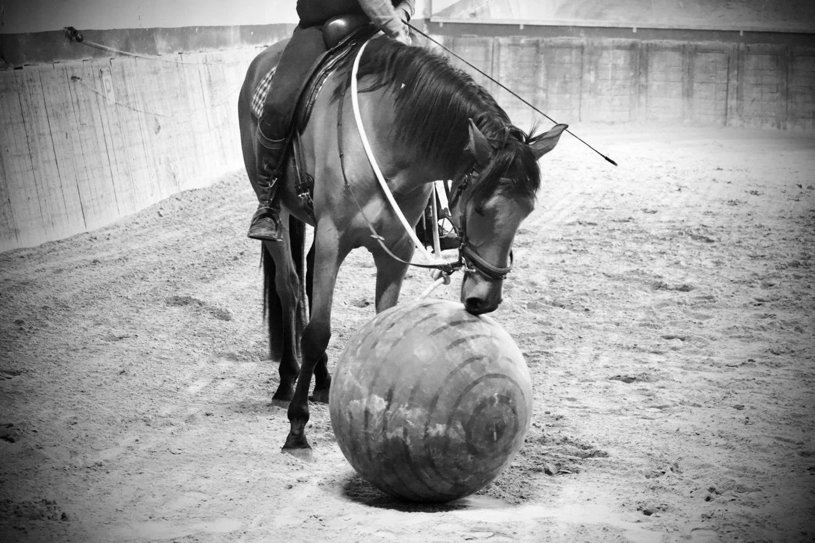 WhatsApp Image 2025-05-08.25.14.jpeg