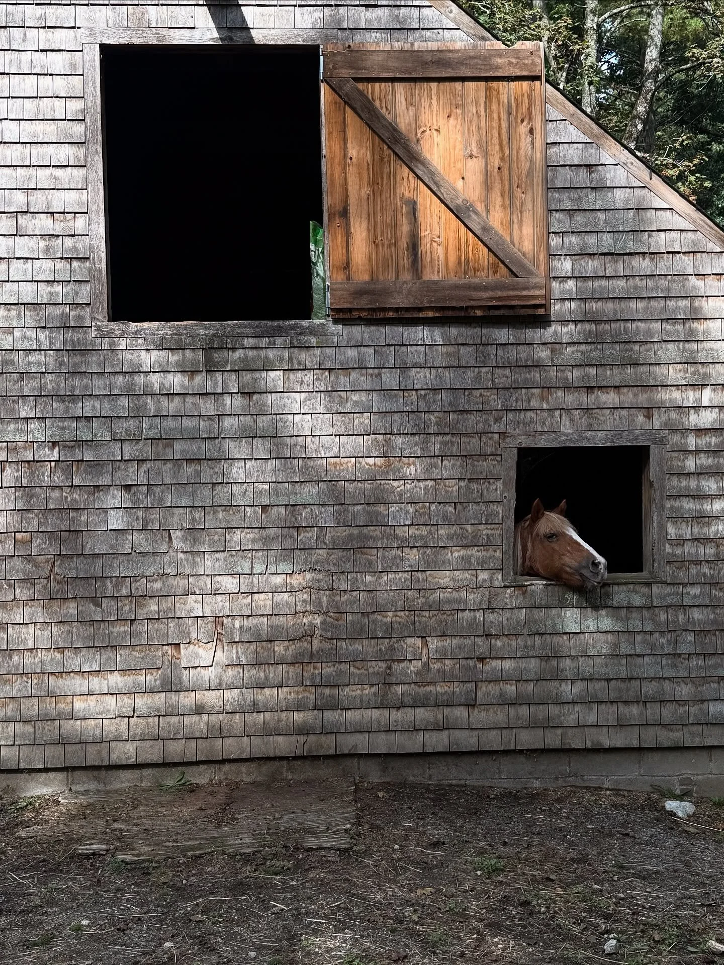 A few moments in October&hellip;

The heat has kicked on, and the humidifier&rsquo;s back. I&rsquo;ve realized I&rsquo;m definitely a fall person. There&rsquo;s something about this time of year, the pace slows down a bit, the air feels heavier, but 