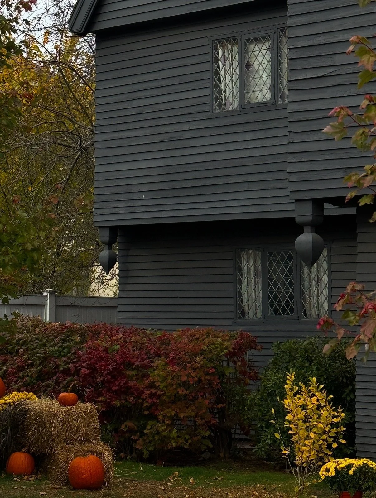 A few moments from November.

We&rsquo;re easing into winter now. The Christmas trees are tied to the light poles in the Market Baskte parking lot. 

The air feels sharper. You&rsquo;ve had that &ldquo;holy shit, its cold&rdquo; moment by now. Every 
