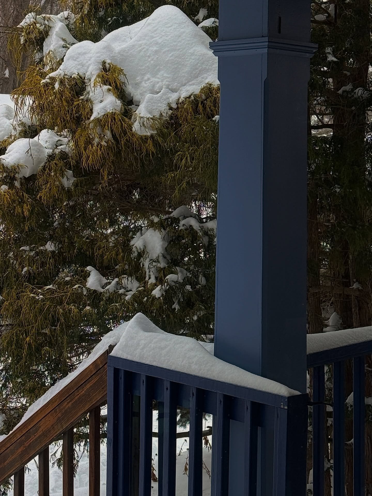 The winter sun is often underwhelming. We bought this house in the cold of winter, and I&rsquo;m excited to see it come alive this year. 

Holding out for evening porch drinks this spring.