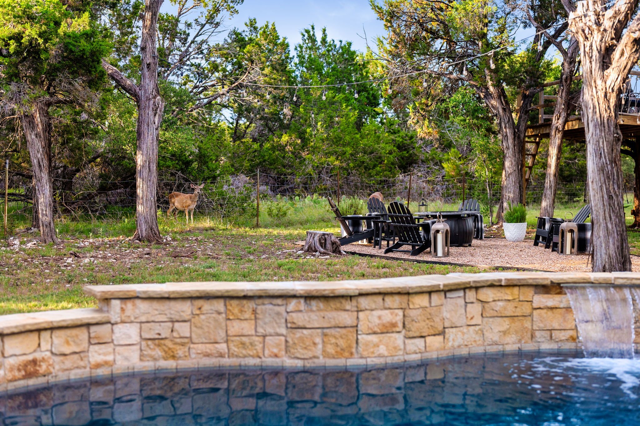 Our curious little deer friends love to visit daily poolside and fireside. Keep an eye out for their appearance!