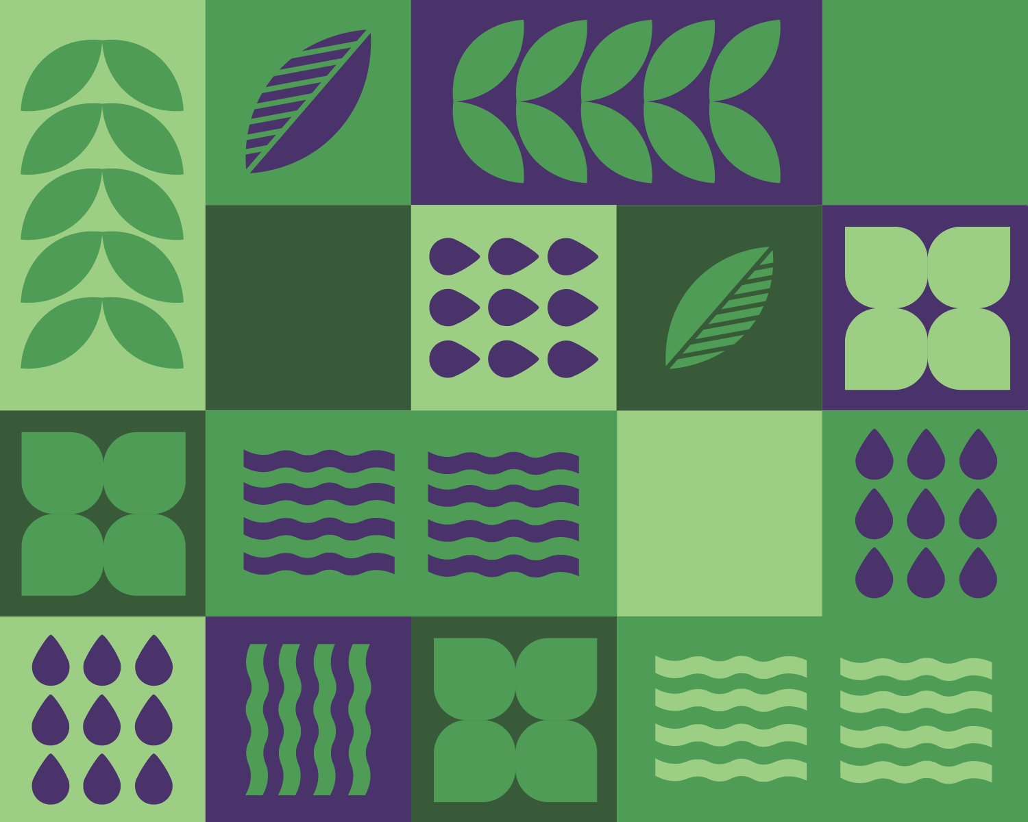 STCrown . Website Portfolio copy (1)-11.png