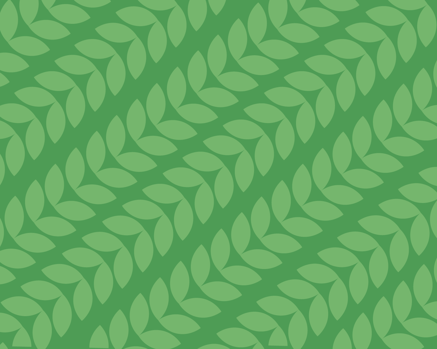 STCrown . Website Portfolio copy (1)-20.png