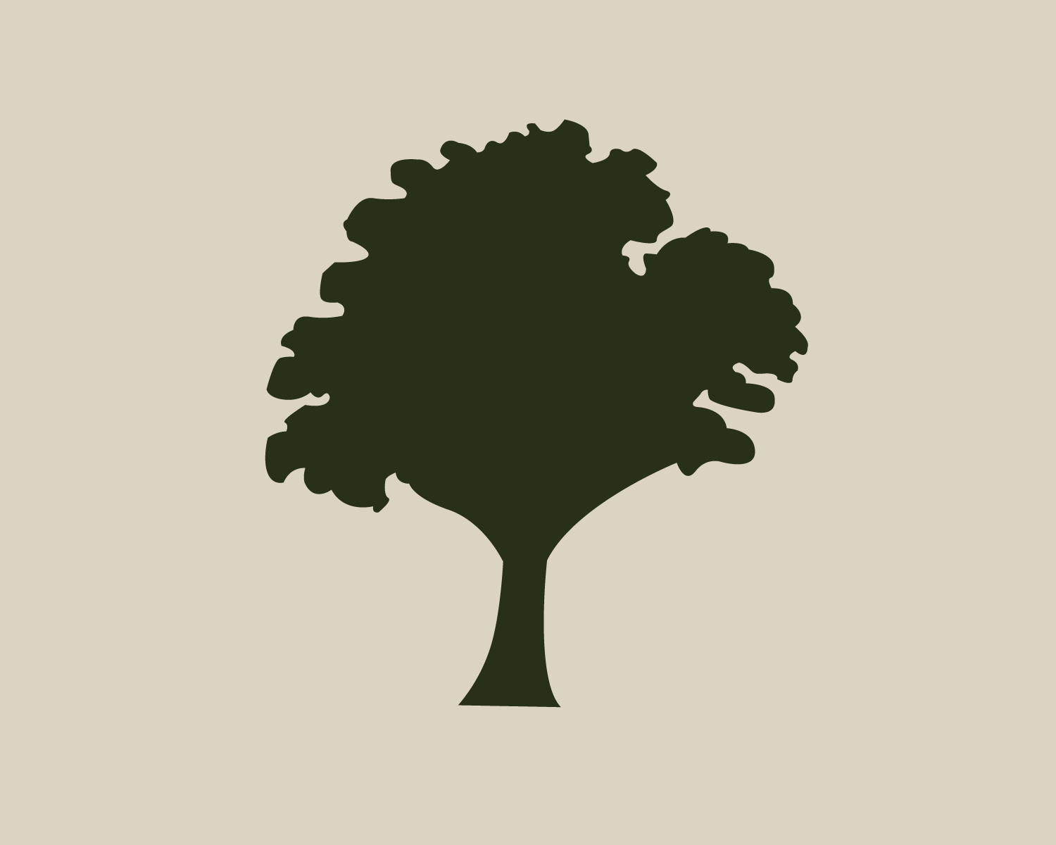 LRV . Website Portfolio-24.png