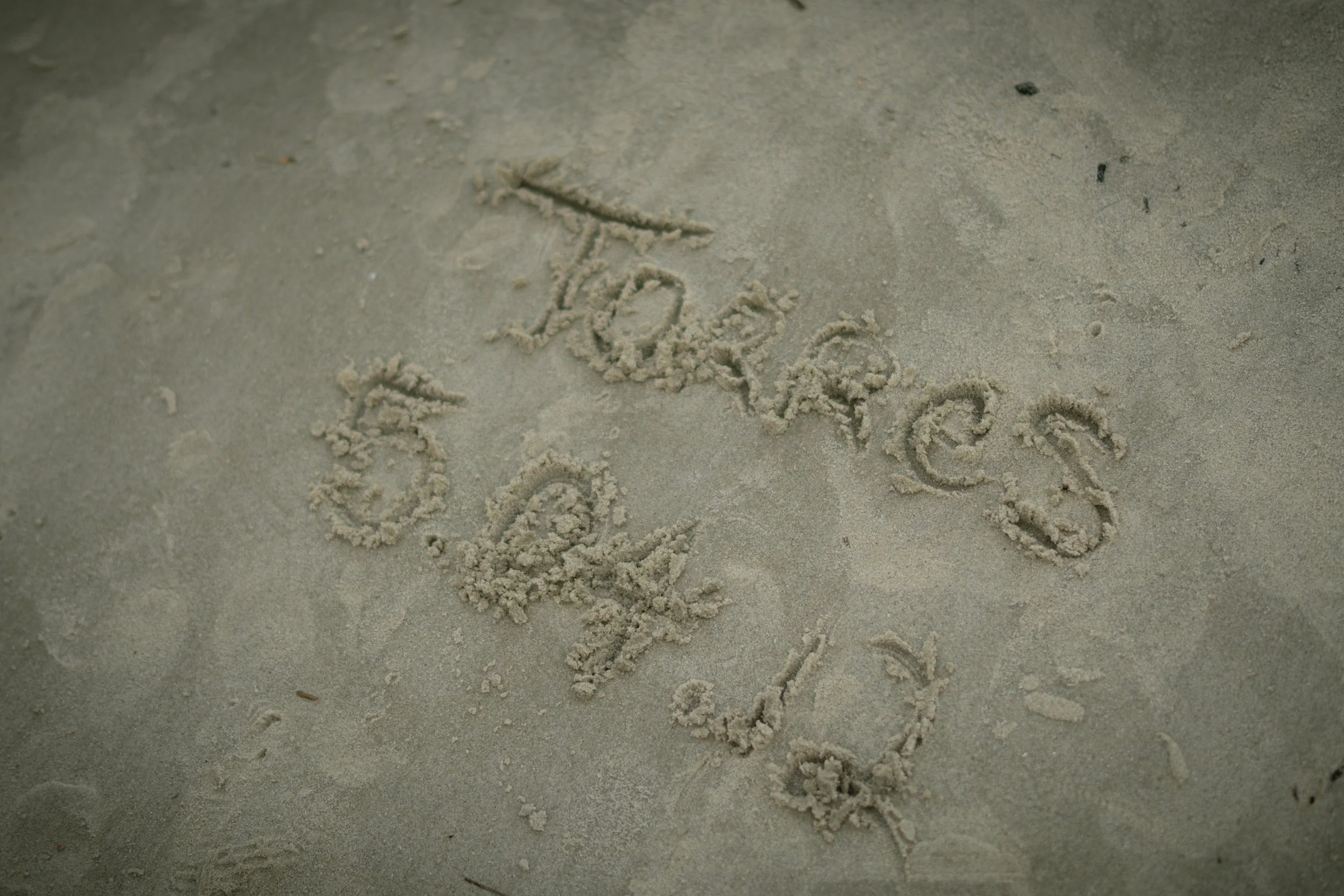 Torres-2.jpg