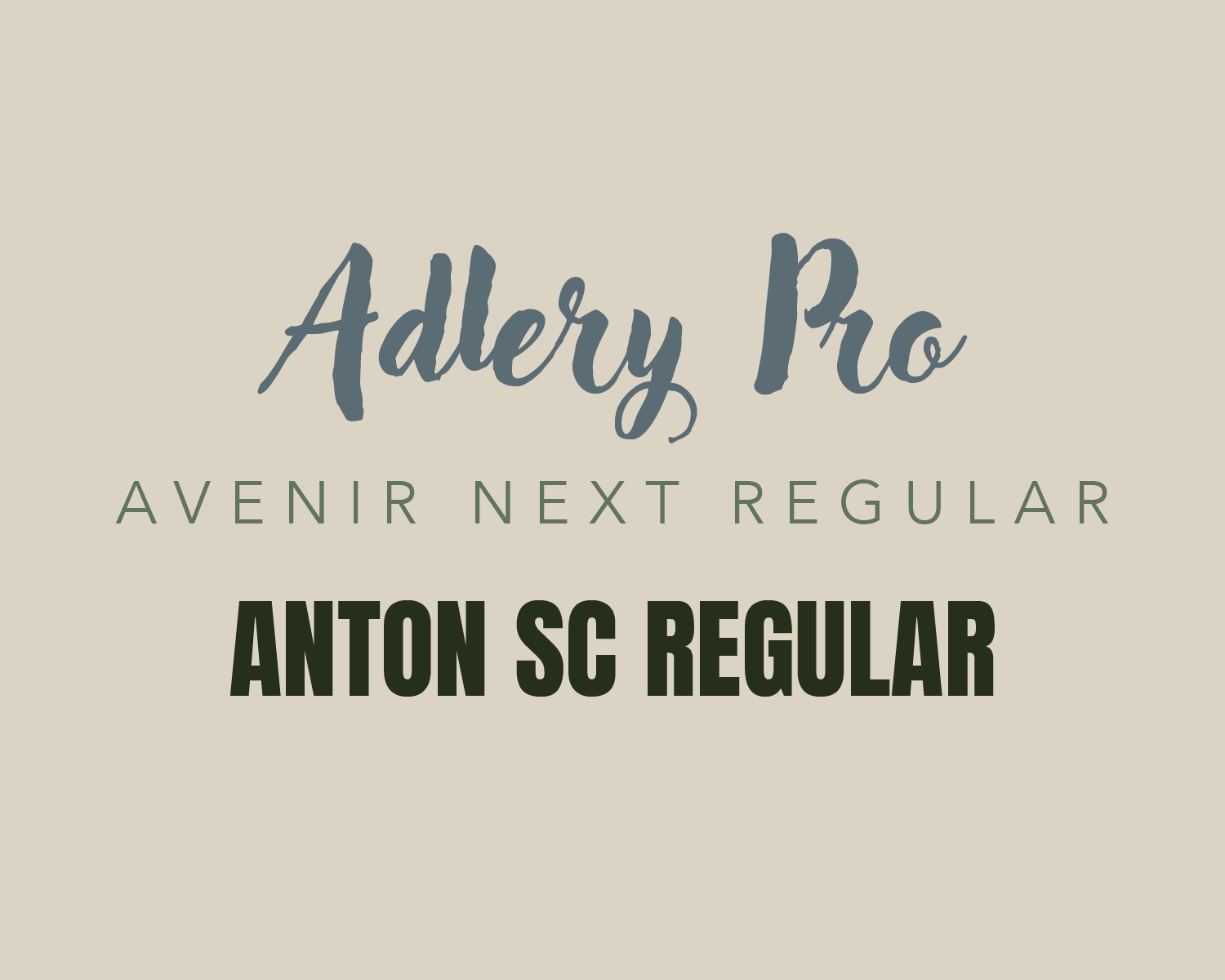 LRV . Website Portfolio-22.png