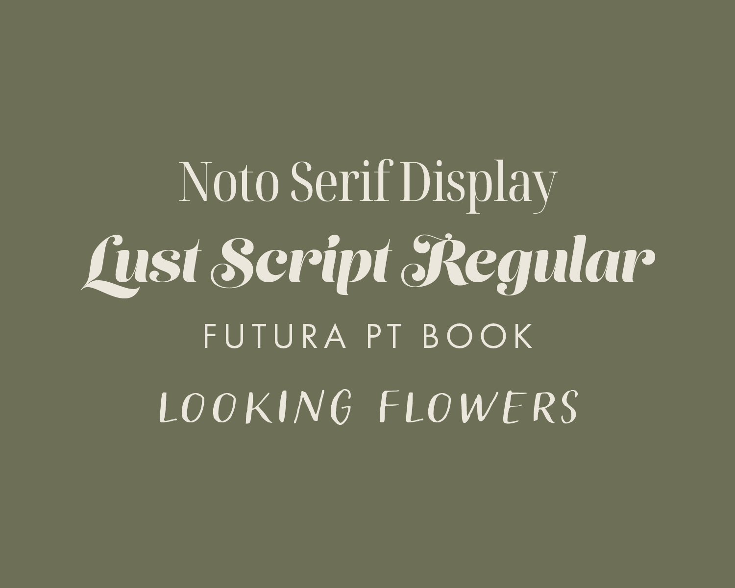 HOBS . Website Portfolio-02.png