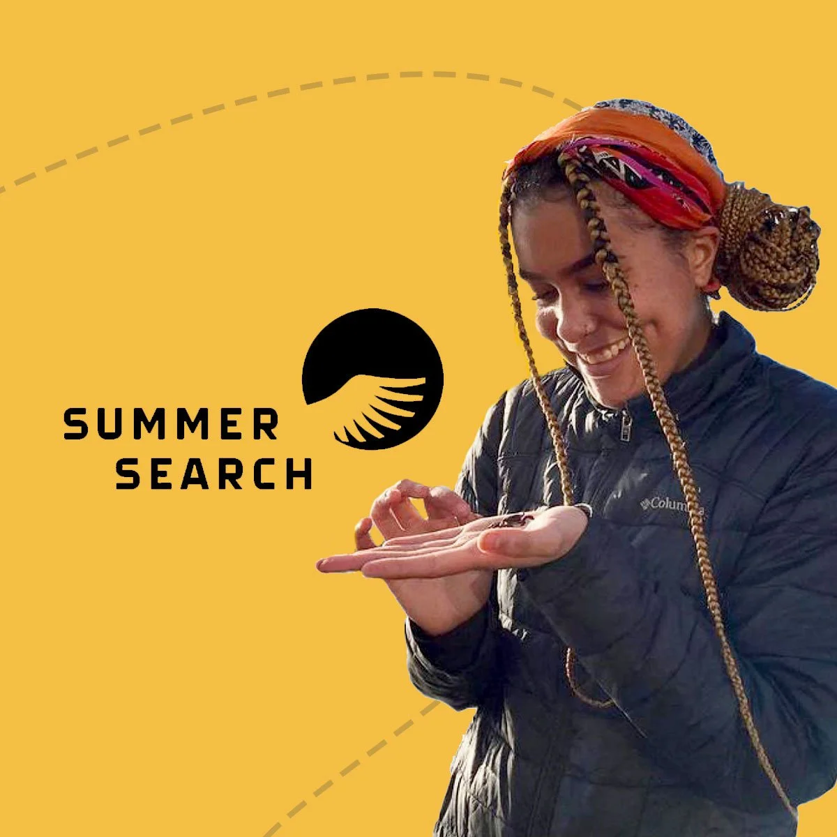 Creative Blue - Summer Search Case Study