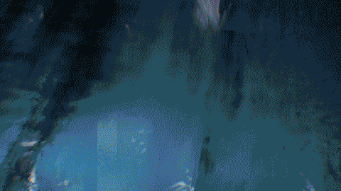 DK24_Text_Abomination_02_web.gif