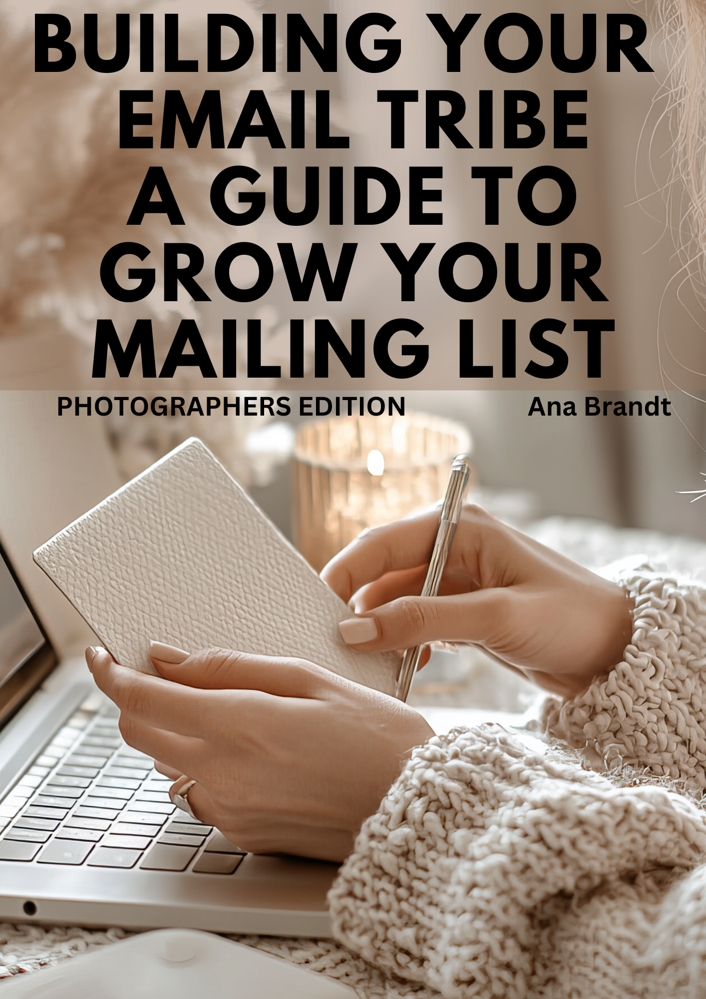 a guide to grow your mailing list-3.png