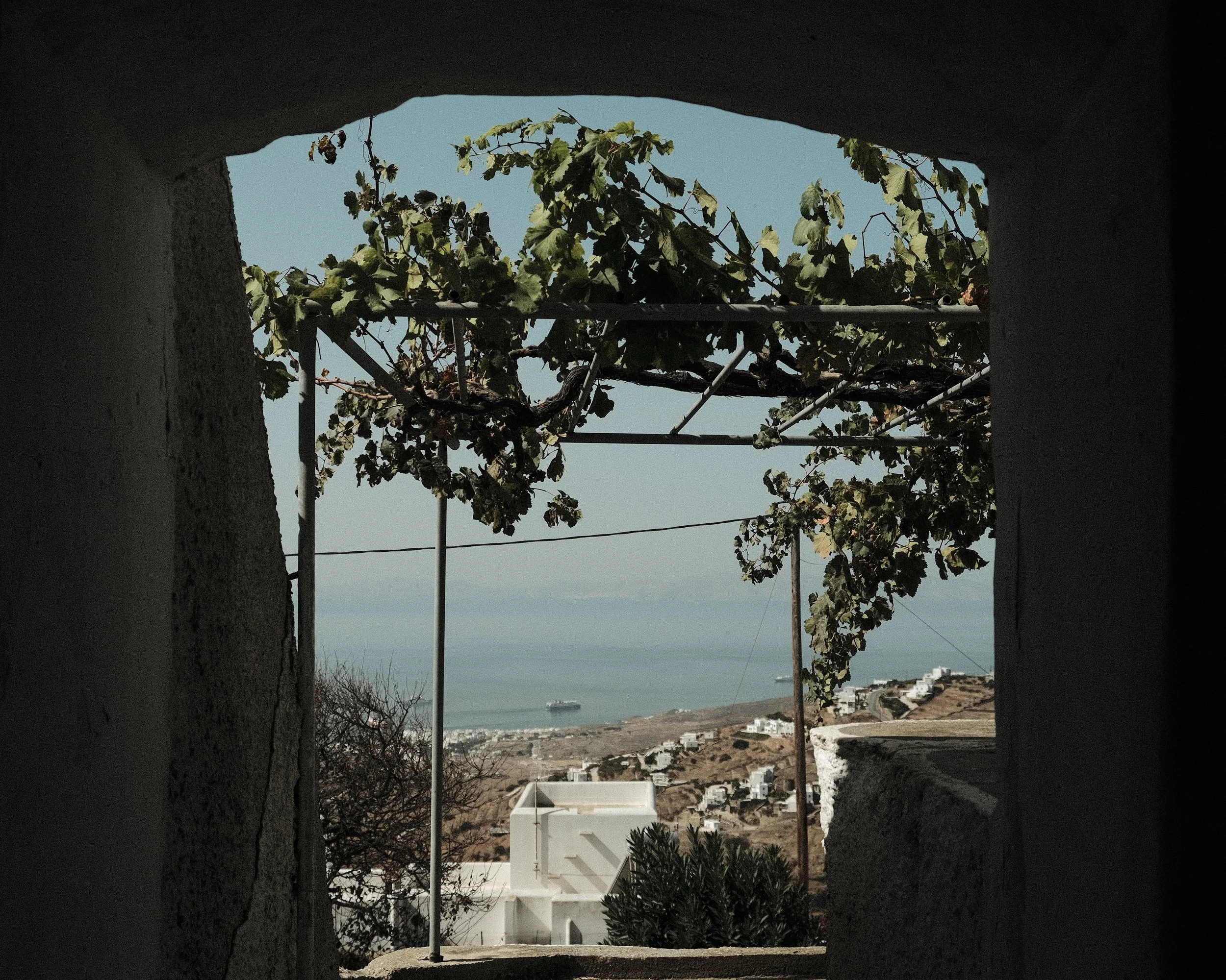 DSCF2763.jpg