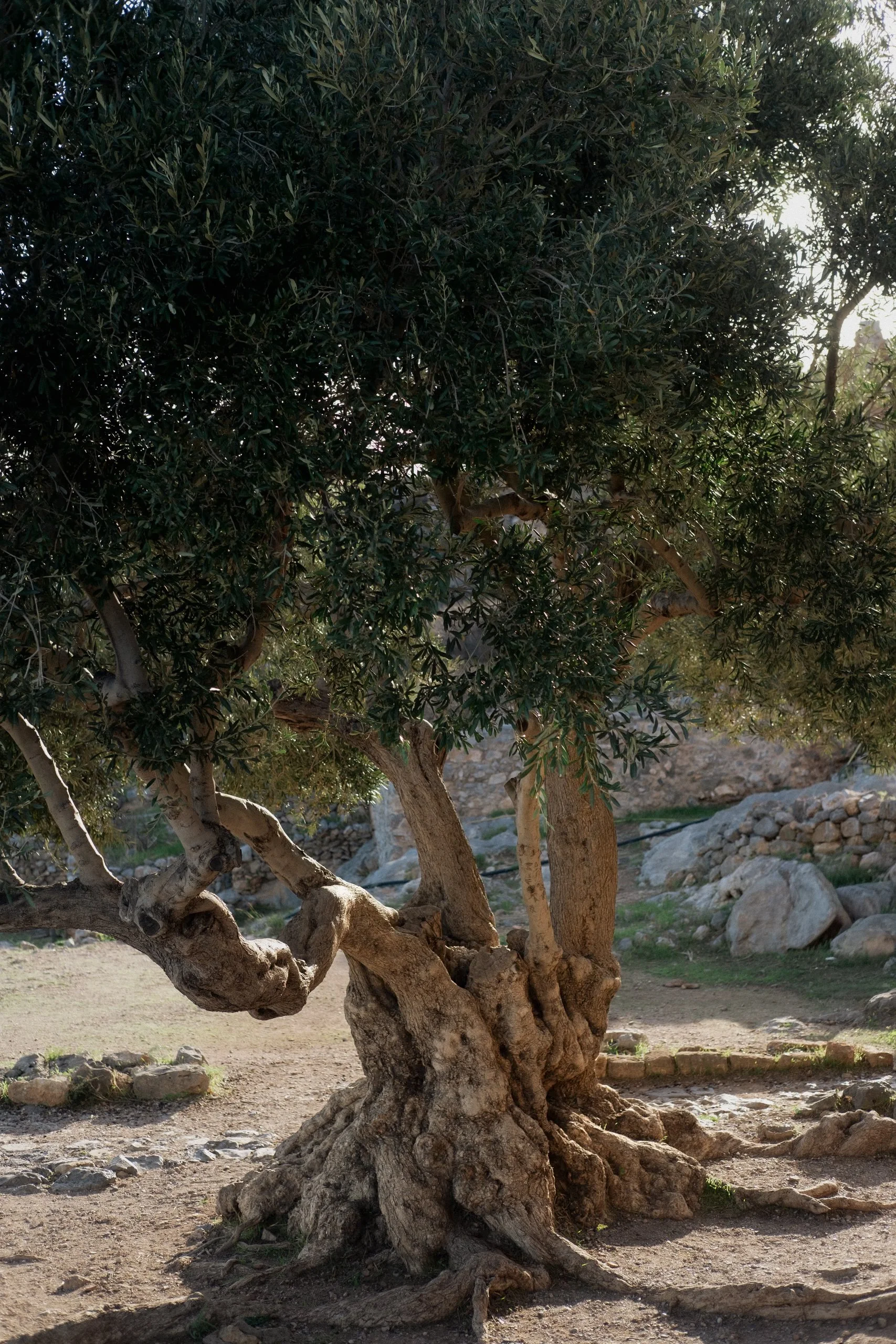 Peloponnese