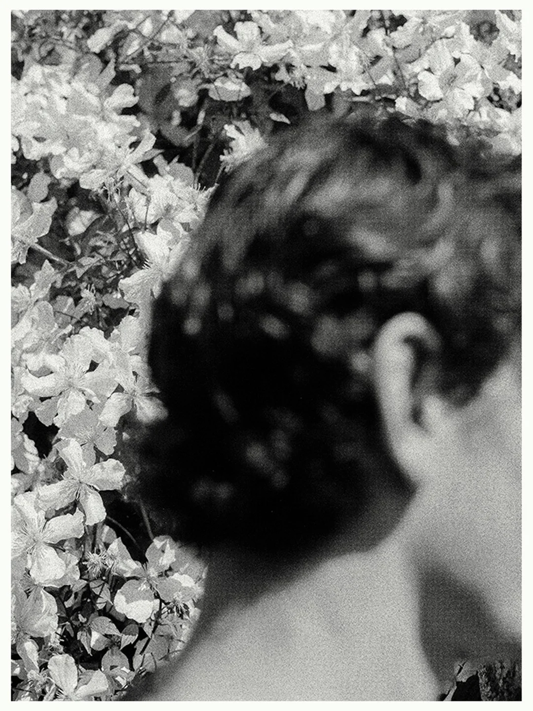 Tom for NAPE serchia.jpg