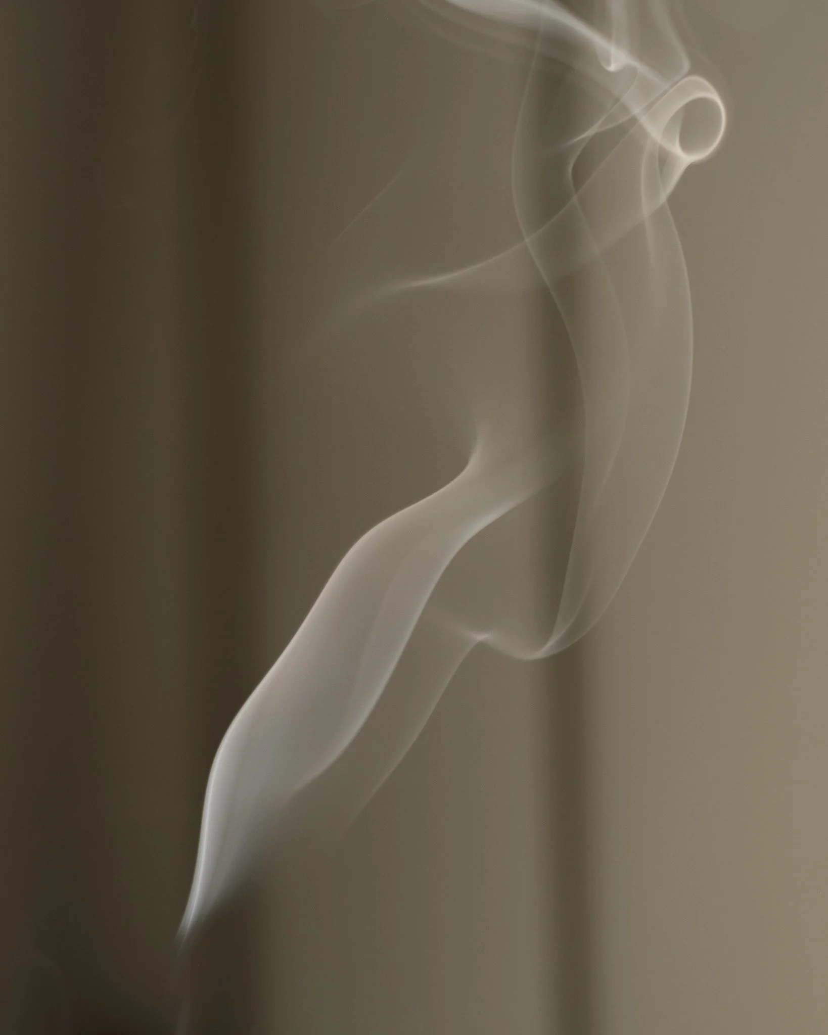 HF-Thelma Paris-30.jpg