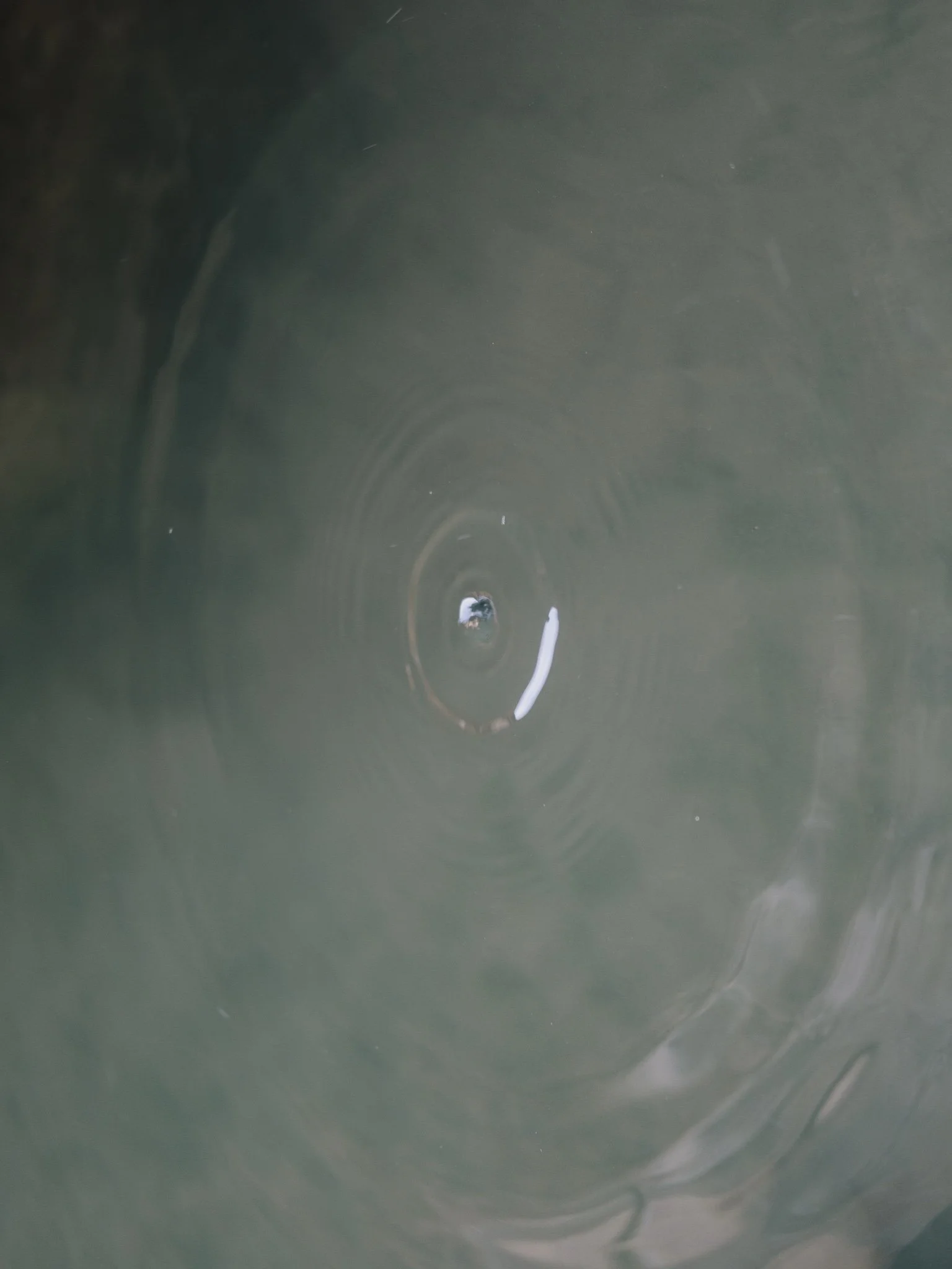 DSCF1460.jpg