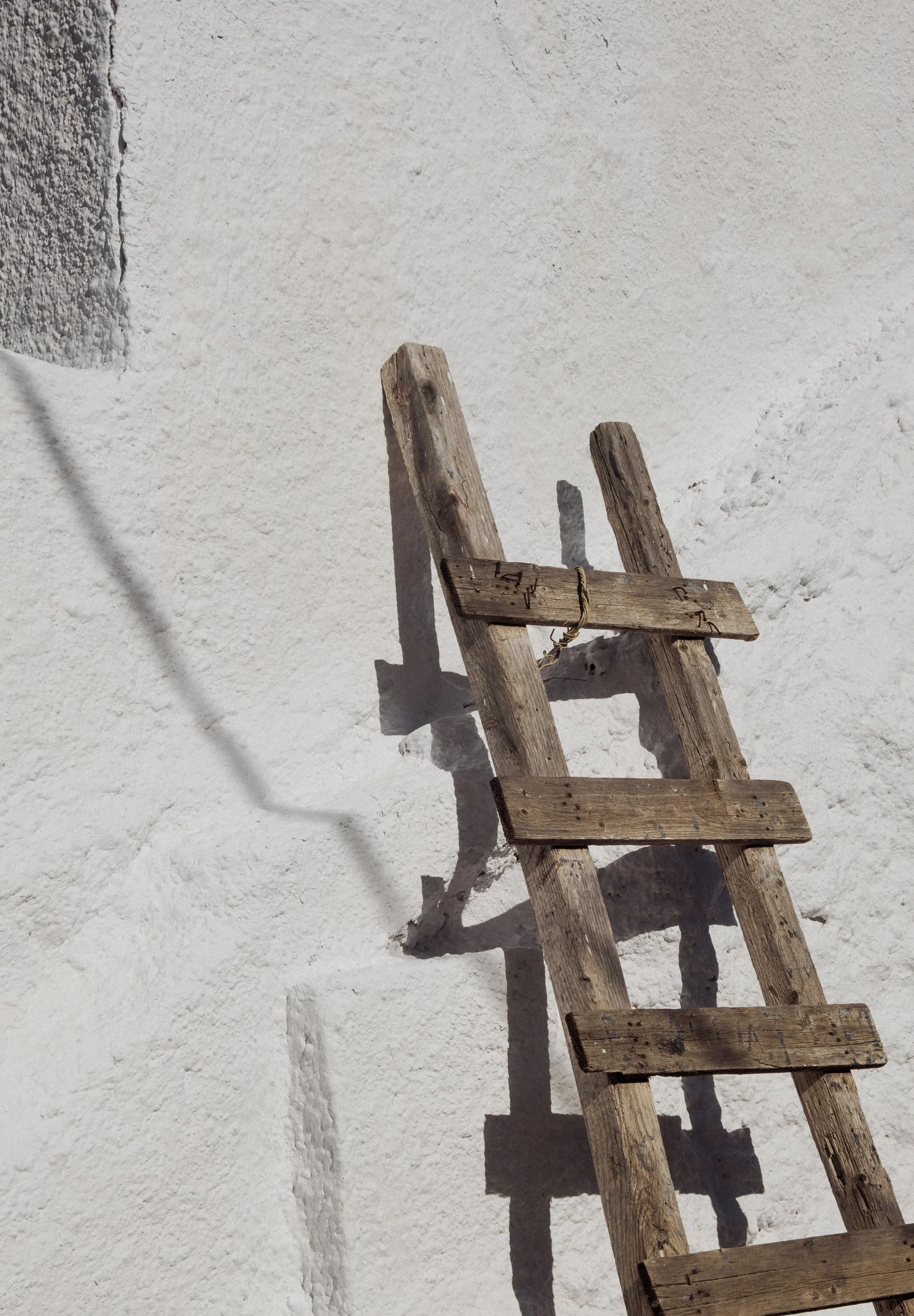 DSCF2476-2.jpg