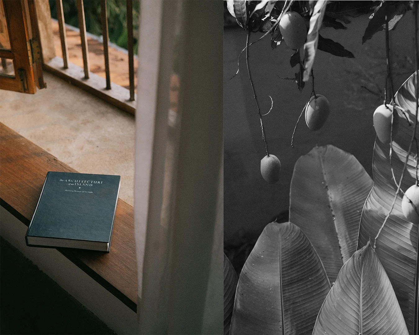 Untitled-2Artboard 12.jpg