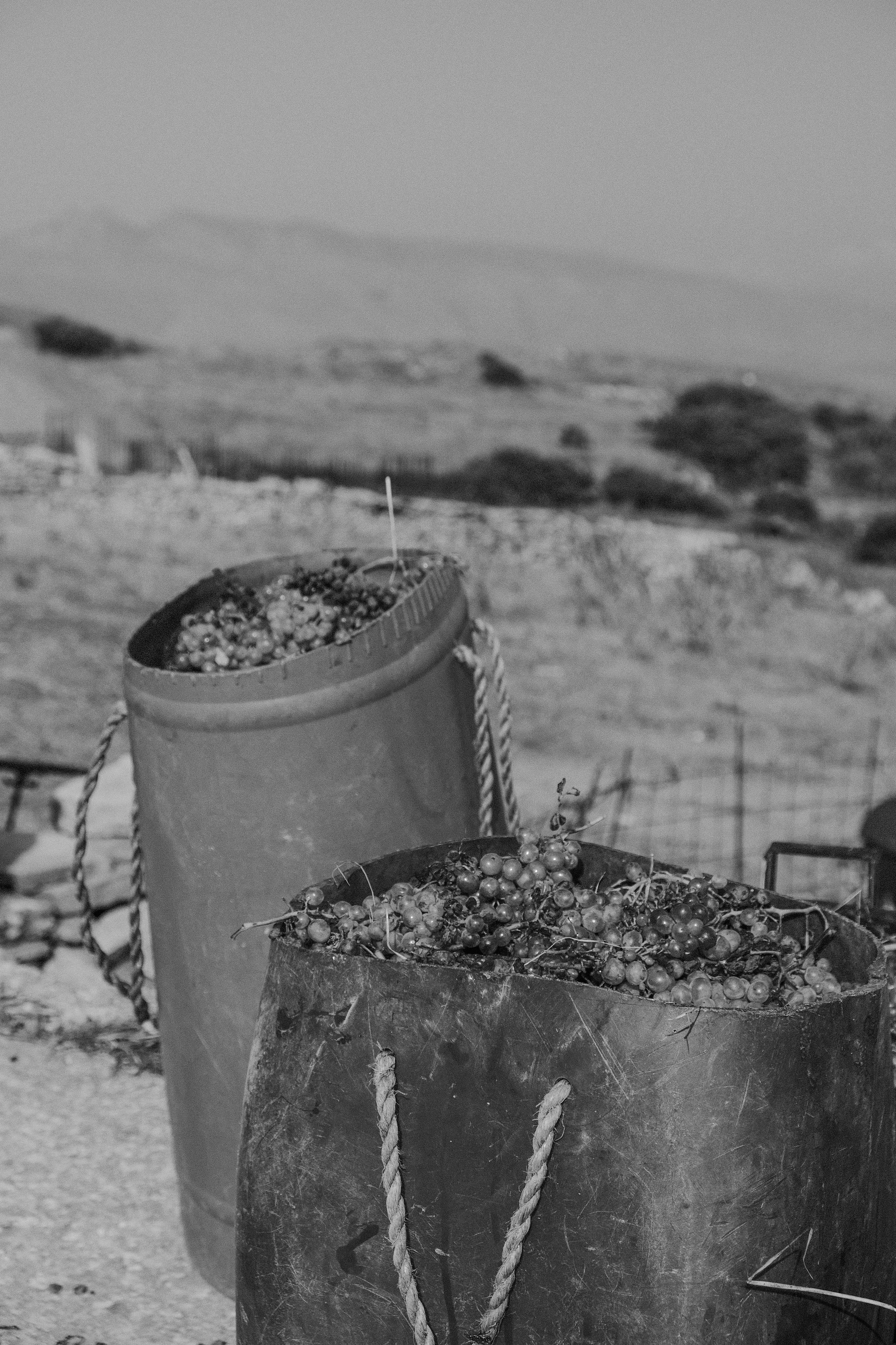 FUJI_TINOS_EDITS-20.jpg