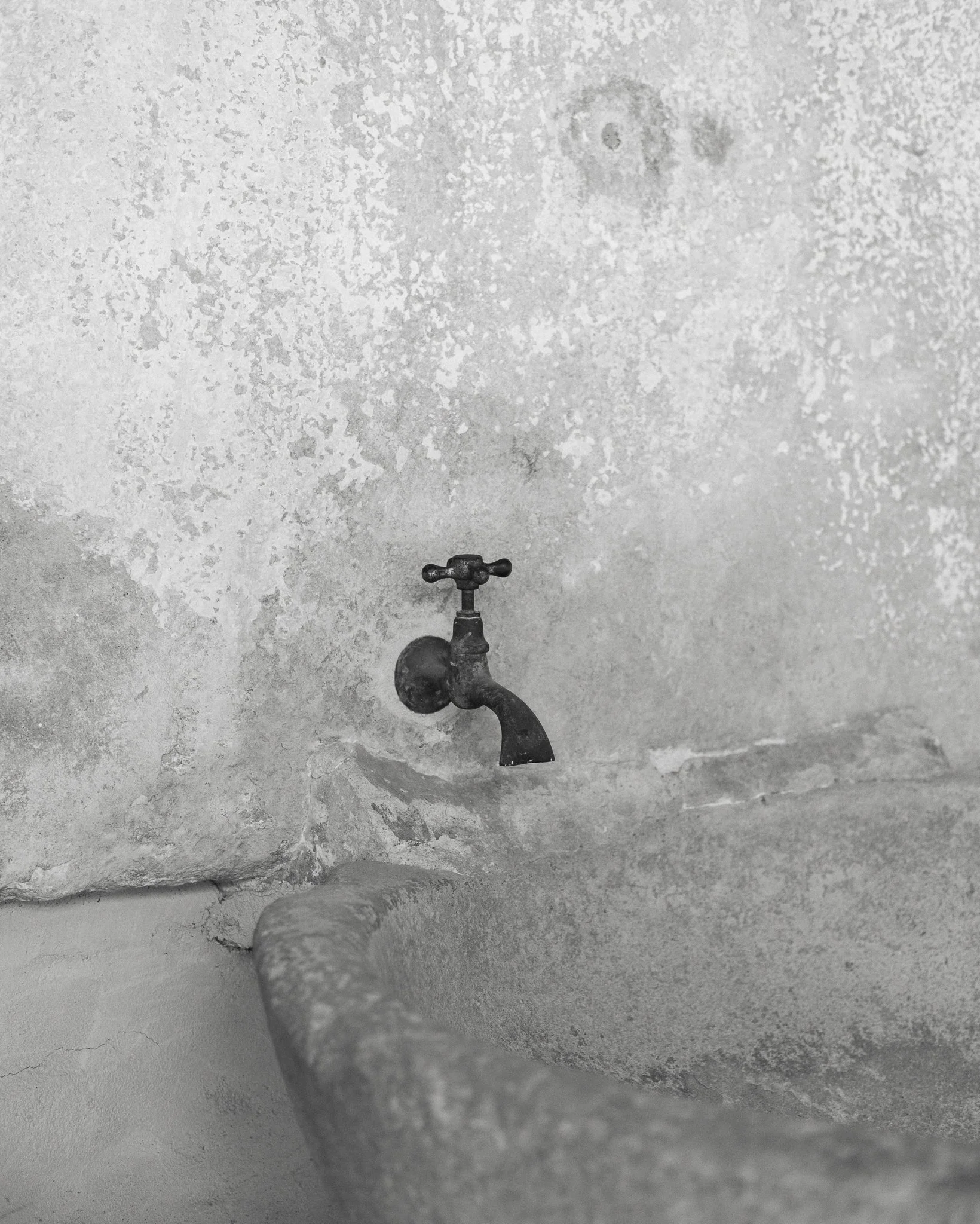 DSCF1514.jpg