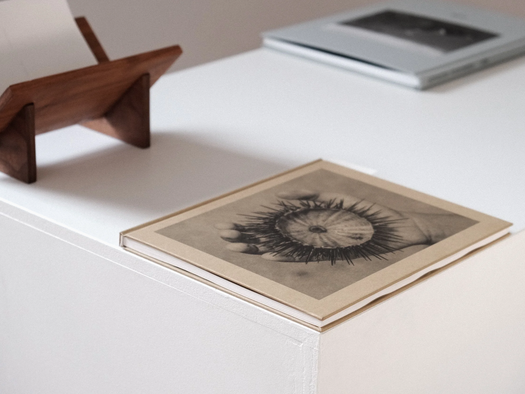 SERCHIA GALLERY