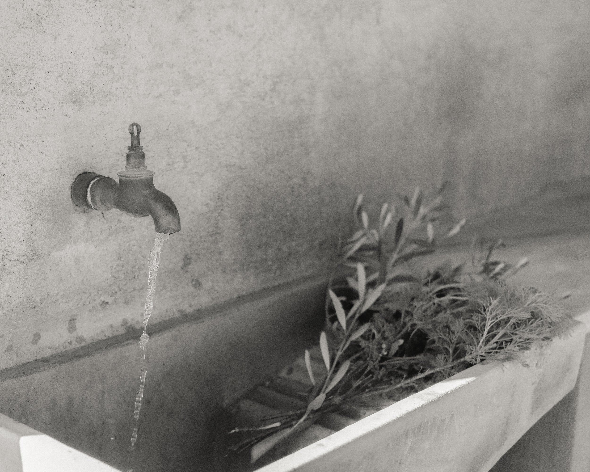 Helen Coutts_HF_Selects_-35.jpg