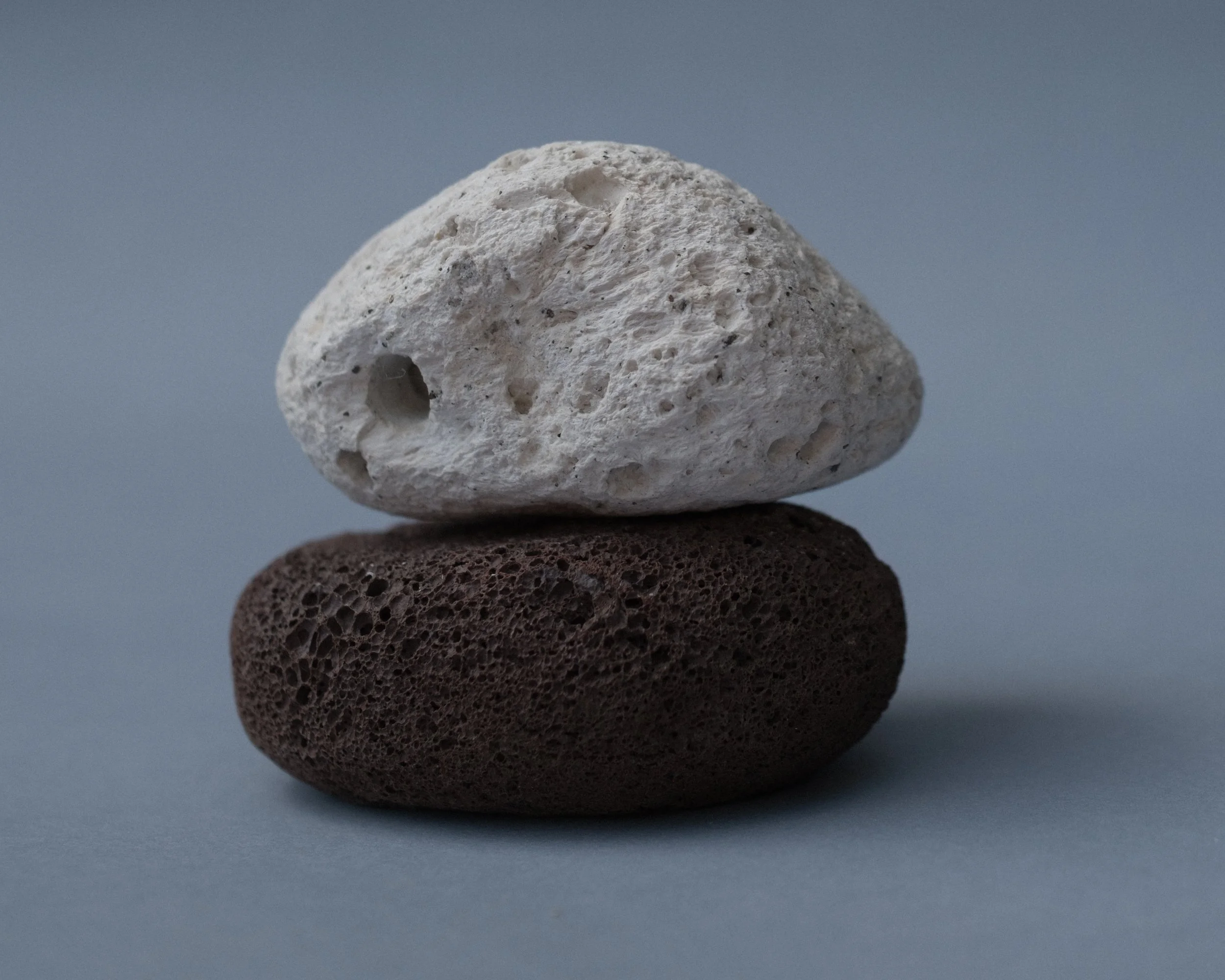 Still Life_feb_2025-2.jpg