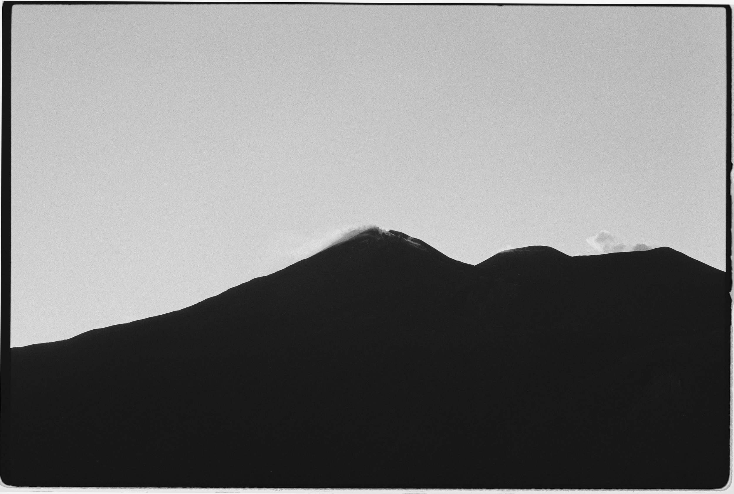 Holly Fielder_B&W Photography, 35mm Film, Nature Photography