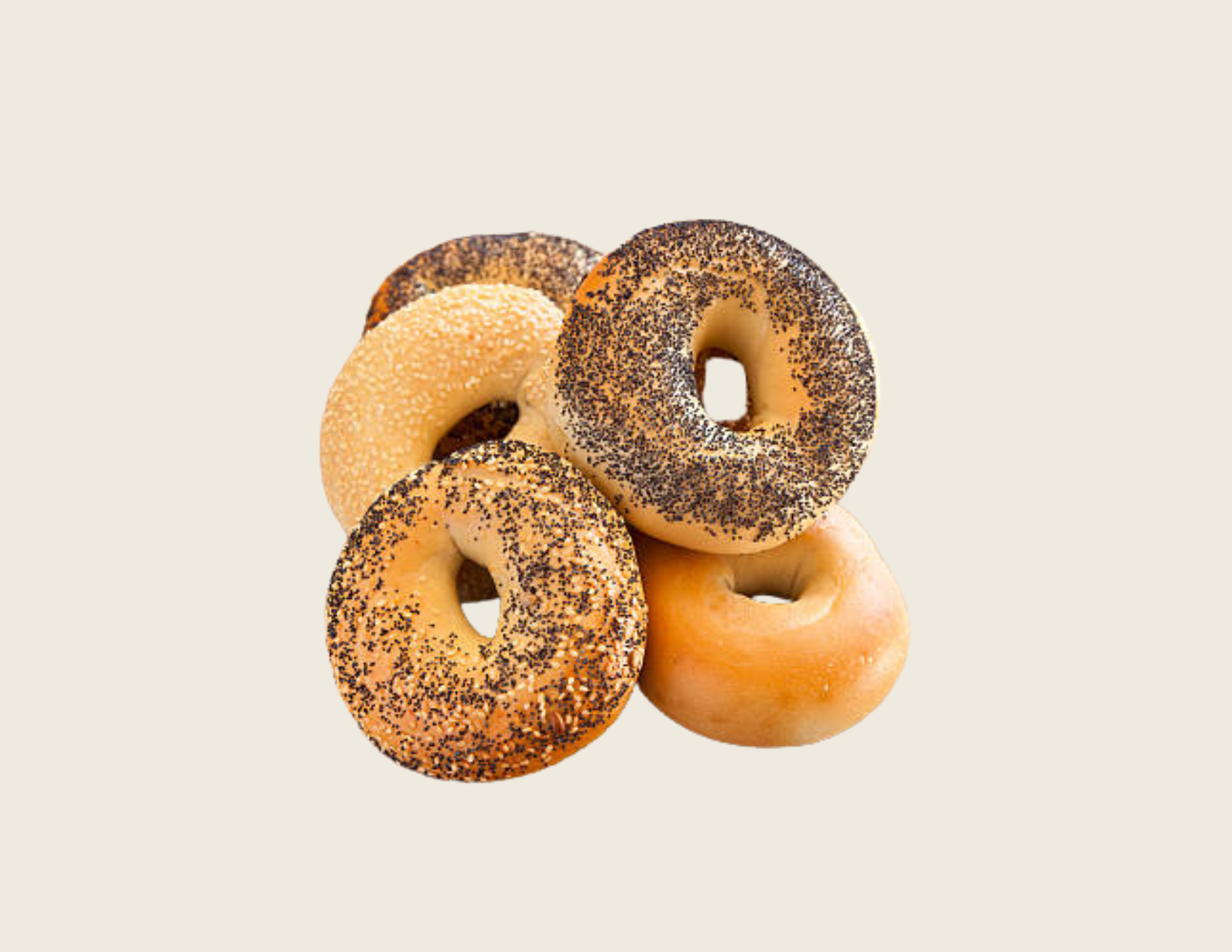 Extra 1/2 Dozen Bagels