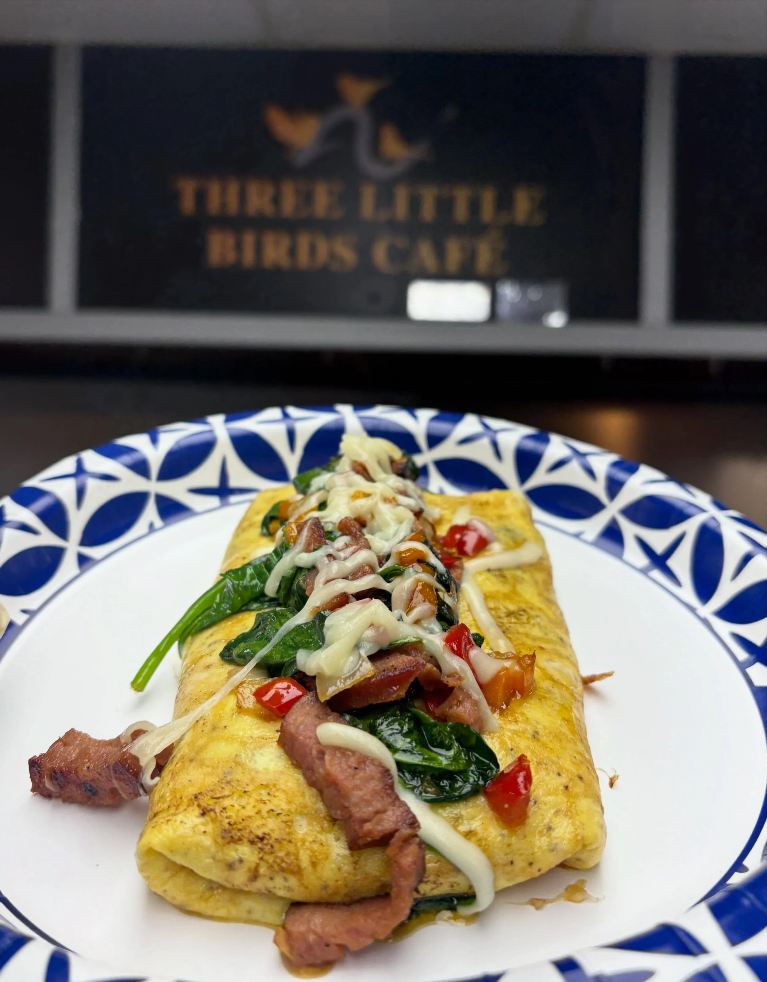 GOOD MORNING FROM YOUR FAVORITE BIRDS #THREELITTLEBIRDS #southjersey