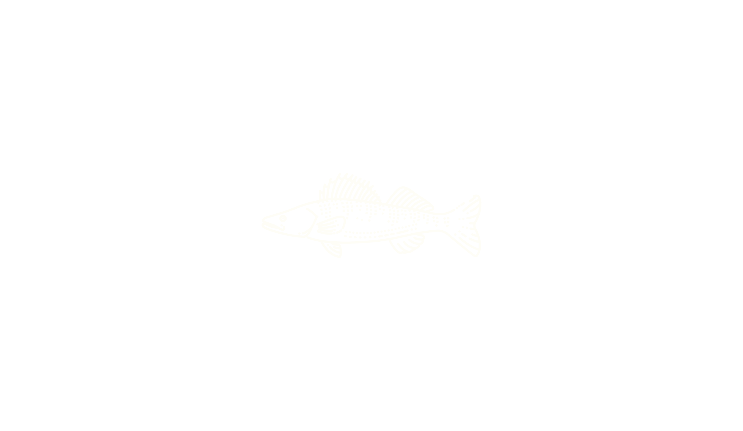 A black background with a white line drawing of a realistic fish at the bottom center.