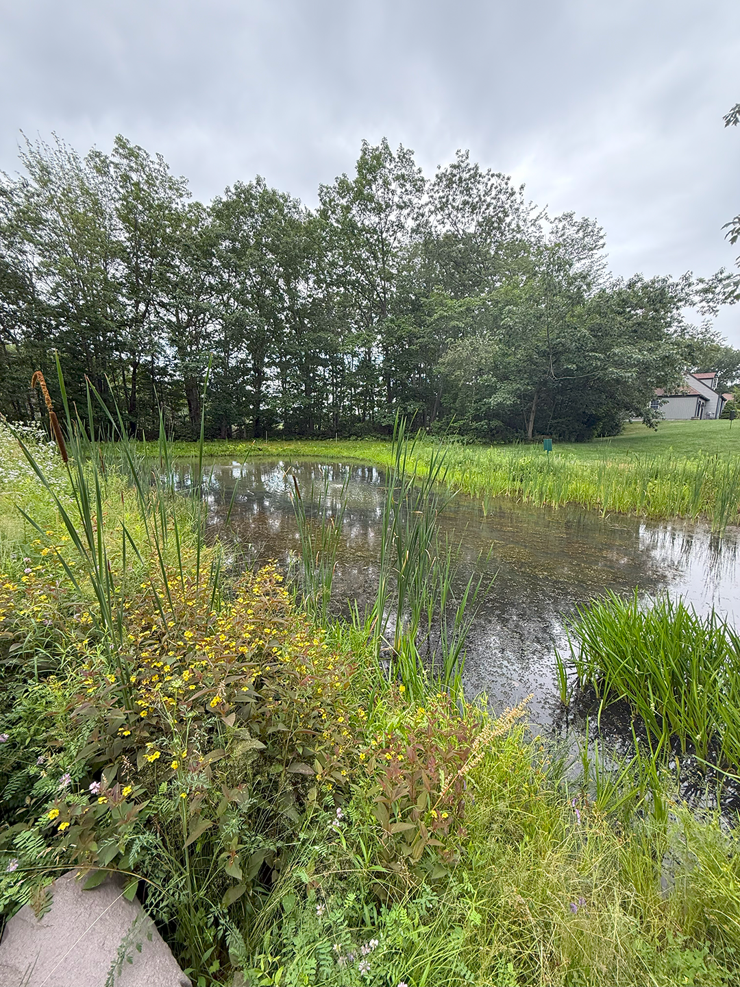 Is a Water Feature Right for Your Yard?