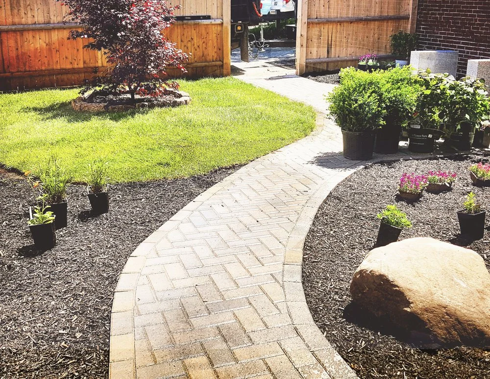 Backyard Patio Redesign2.jpg