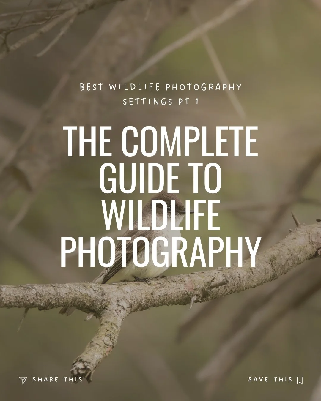 The Complete Guide to Wildlife Photography