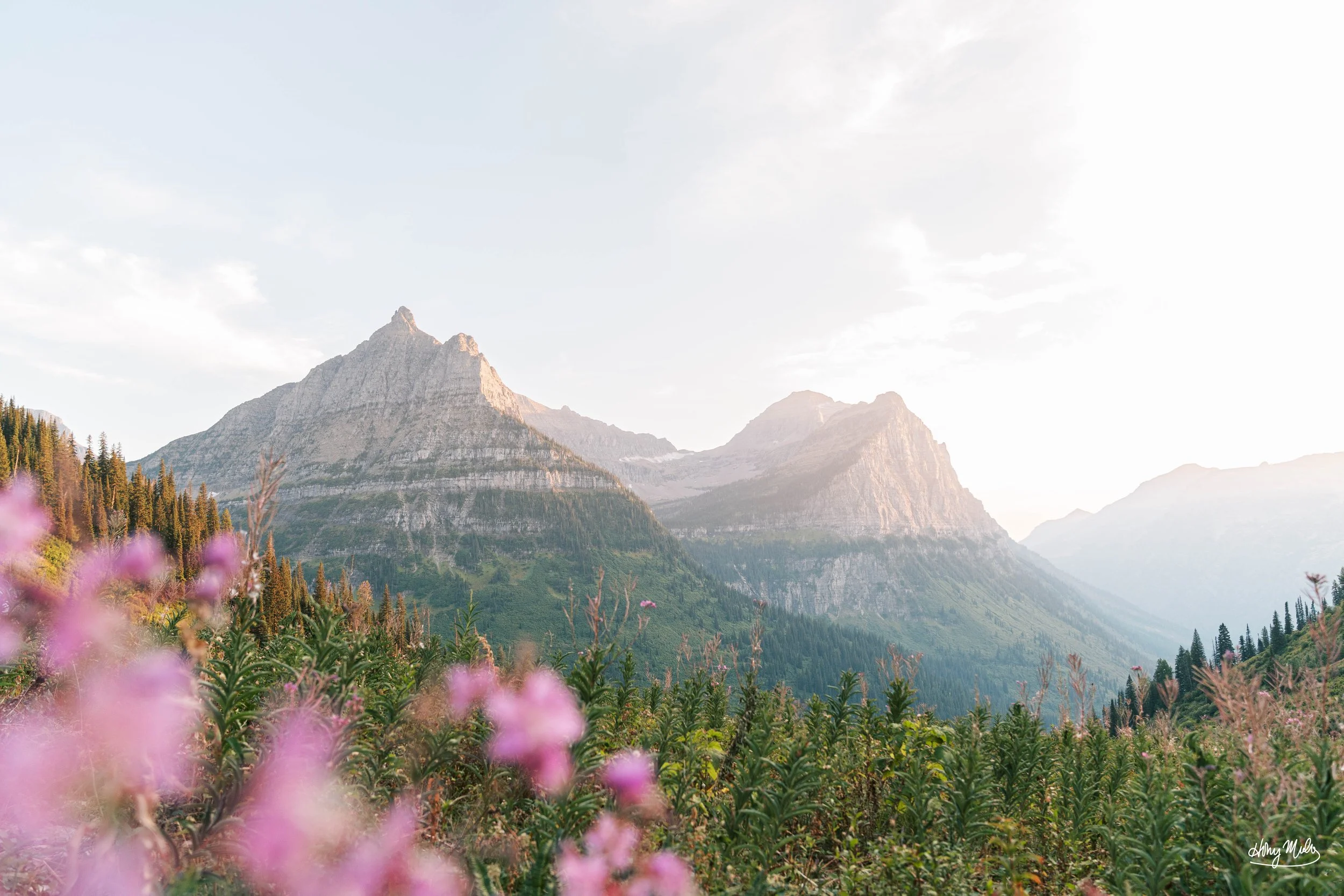 glacier NP signature.jpg