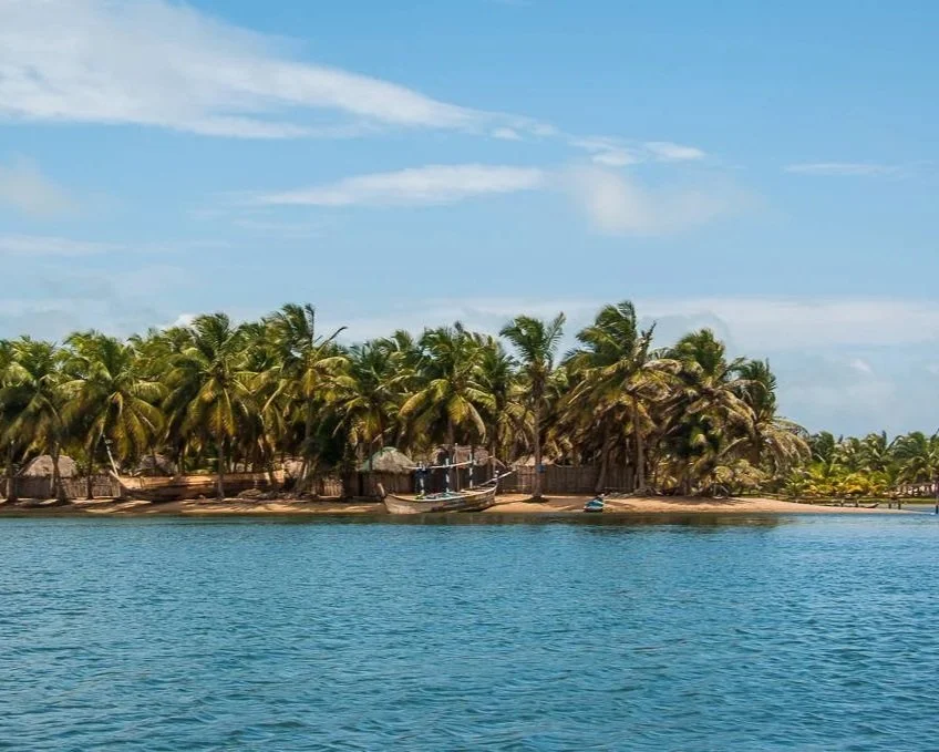Tropical beach with palm trees, boats, and thatched huts along the shoreline under a blue sky.