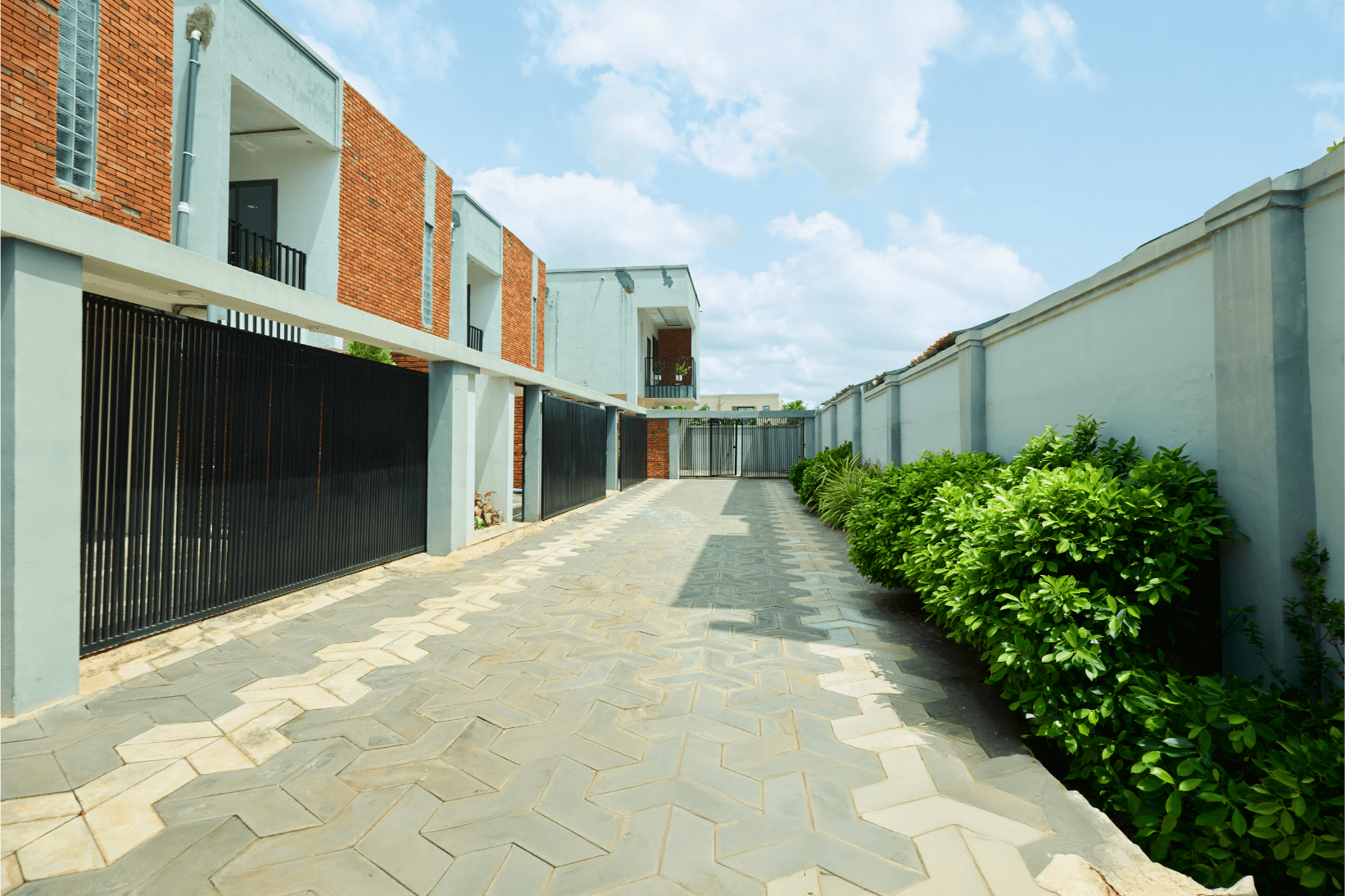 _MG_4221 (1).png