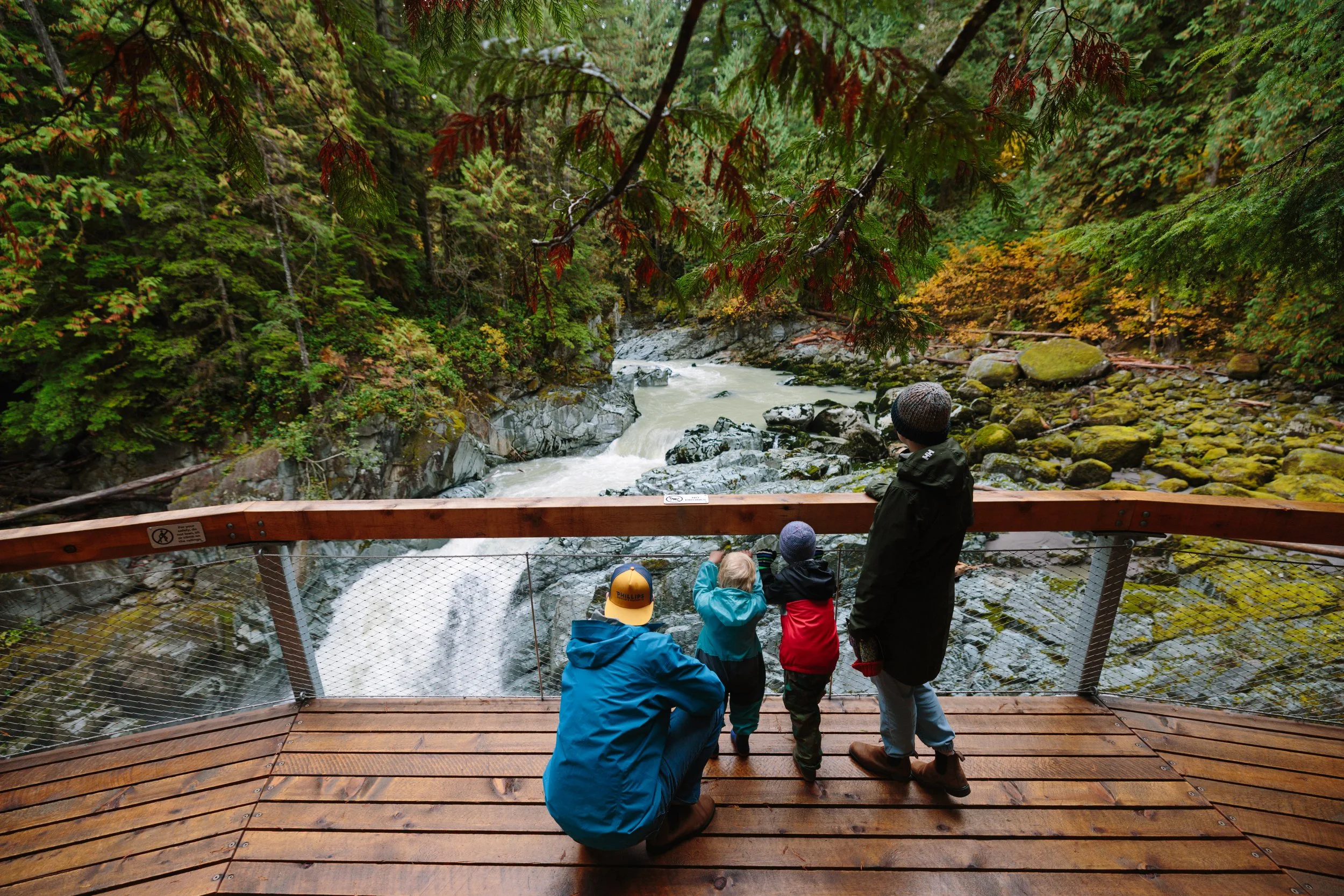 Group of adult and child visitors viewing the Mamquam River rushing below from the Squamish Canyon boardwalk.