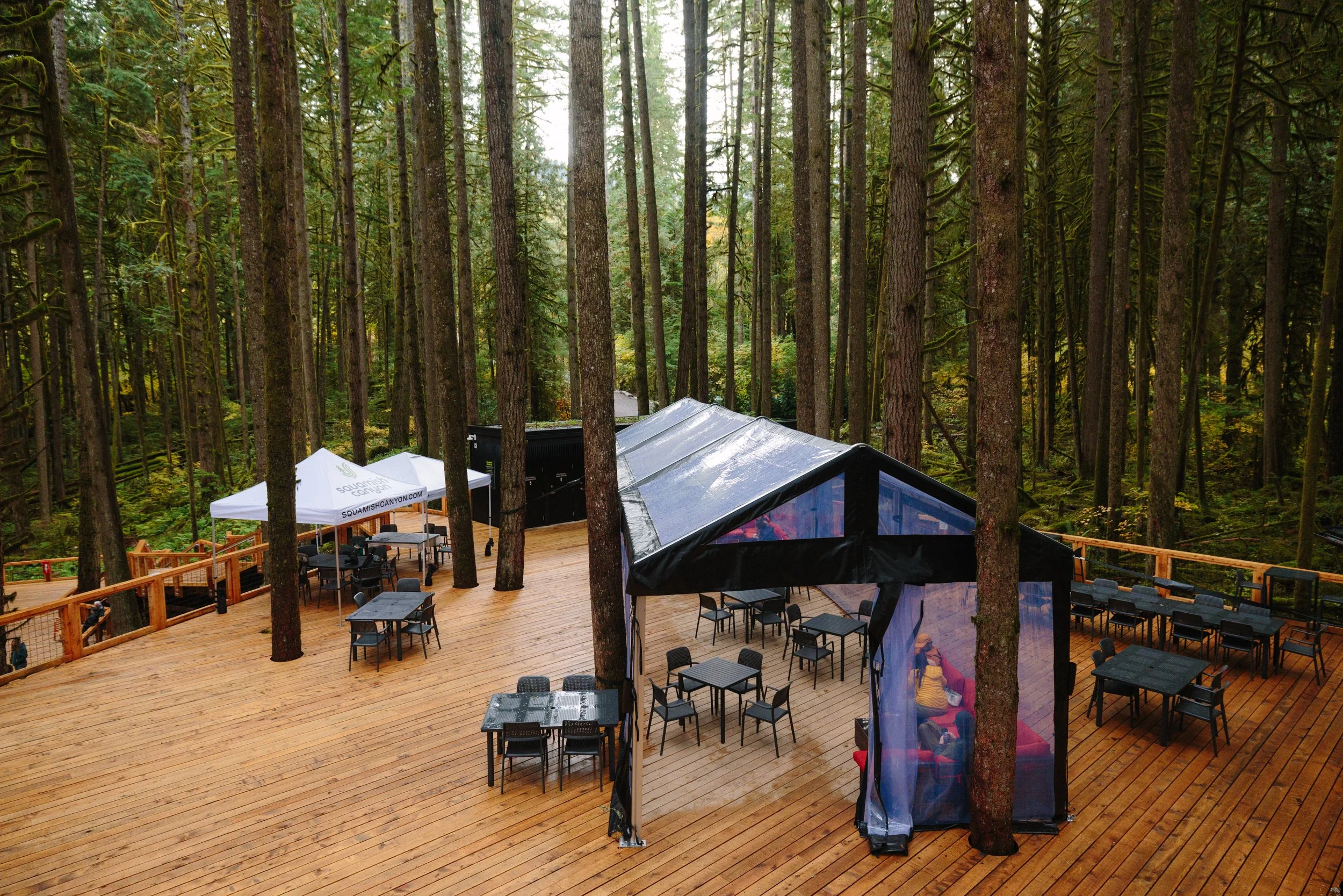 Squamish Canyon Fall Shoot_0199.JPG