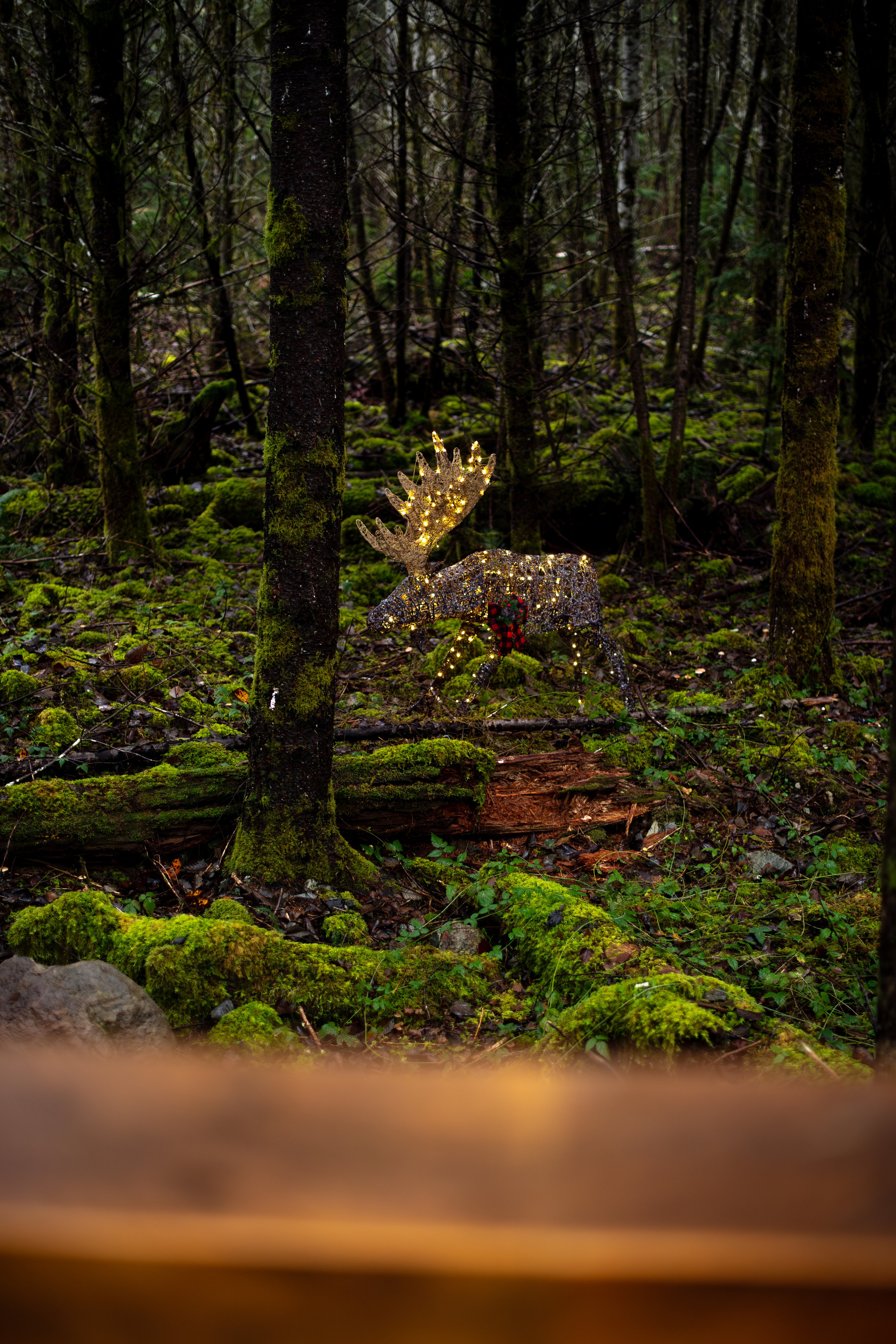 DSC_5730.jpg
