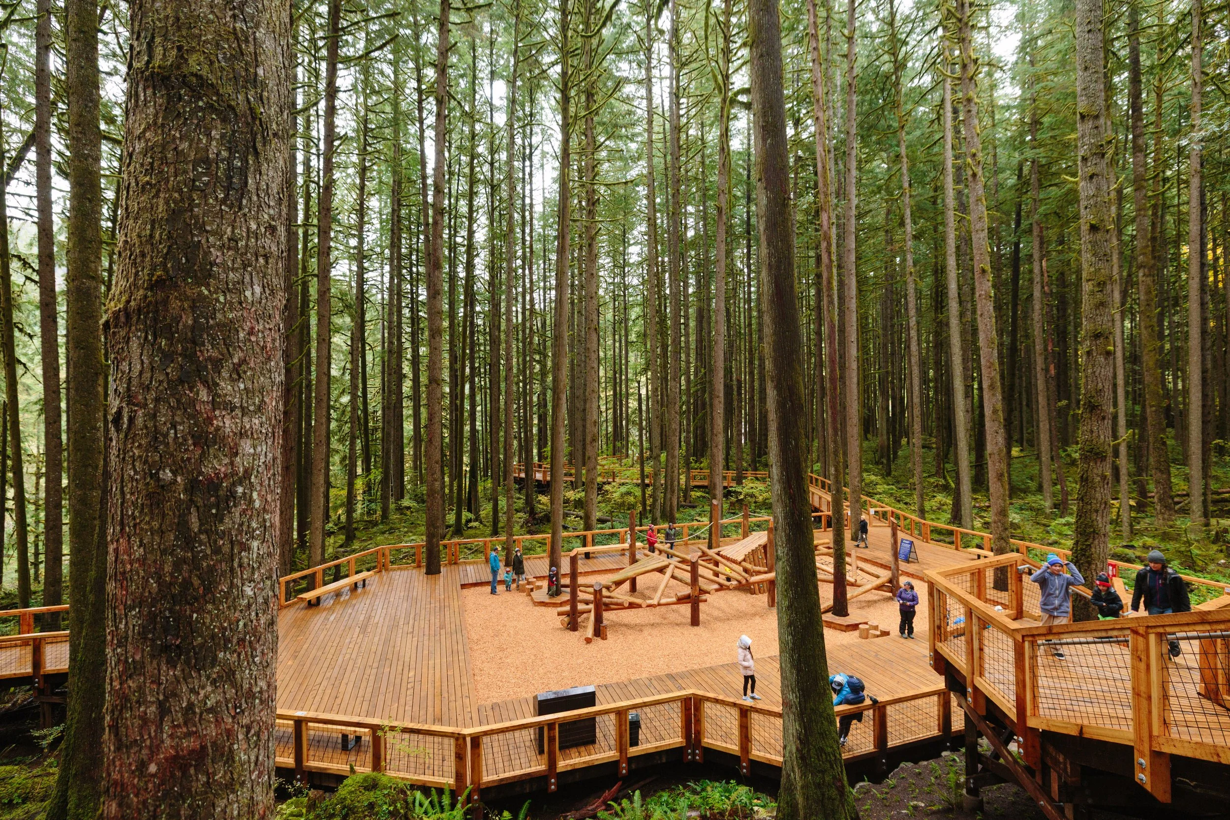 Squamish Canyon Fall Shoot_0123.JPG