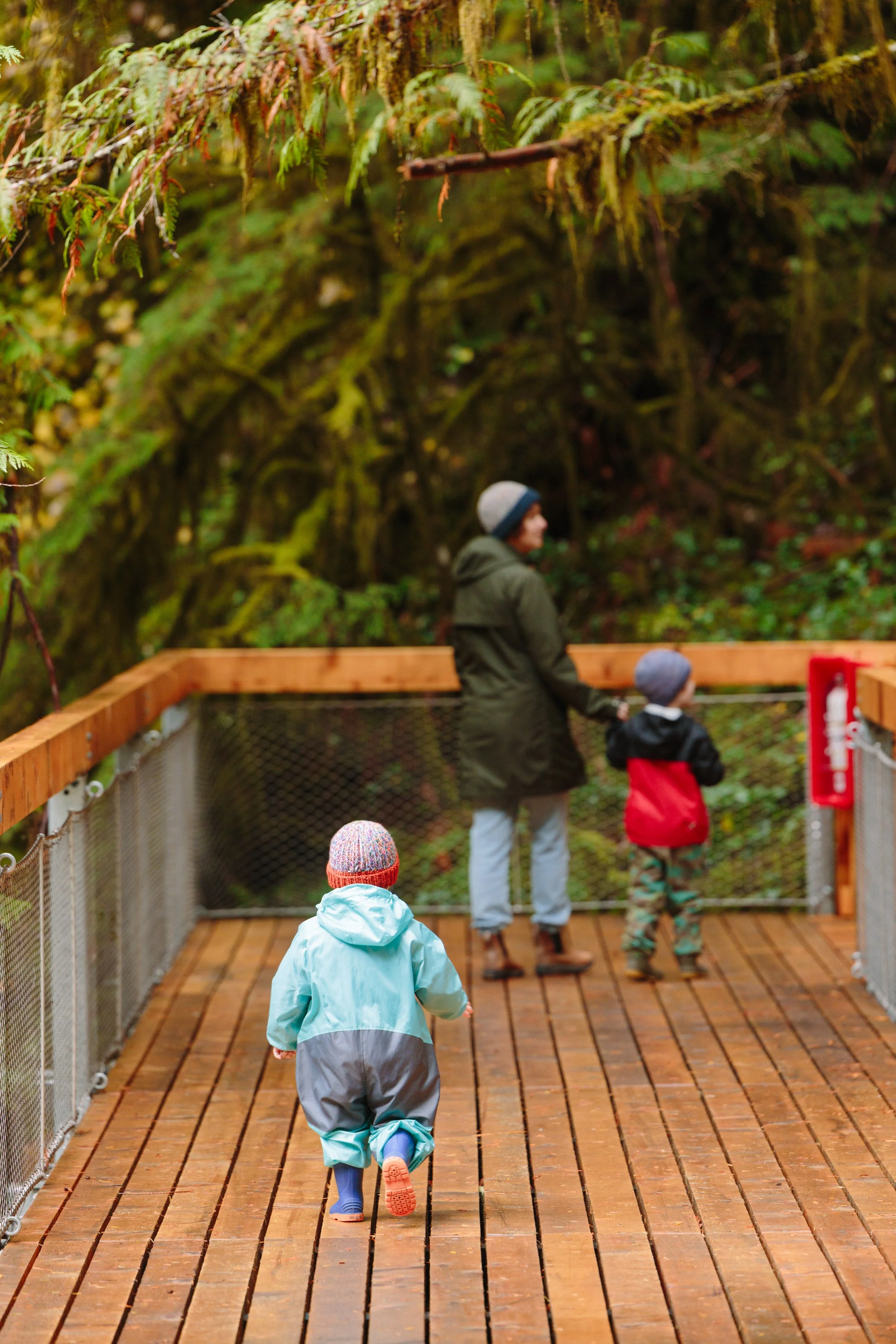Adult and two children walking along the Squamish Canyon boardwalk surrounded by coastal forest in Squamish, BC