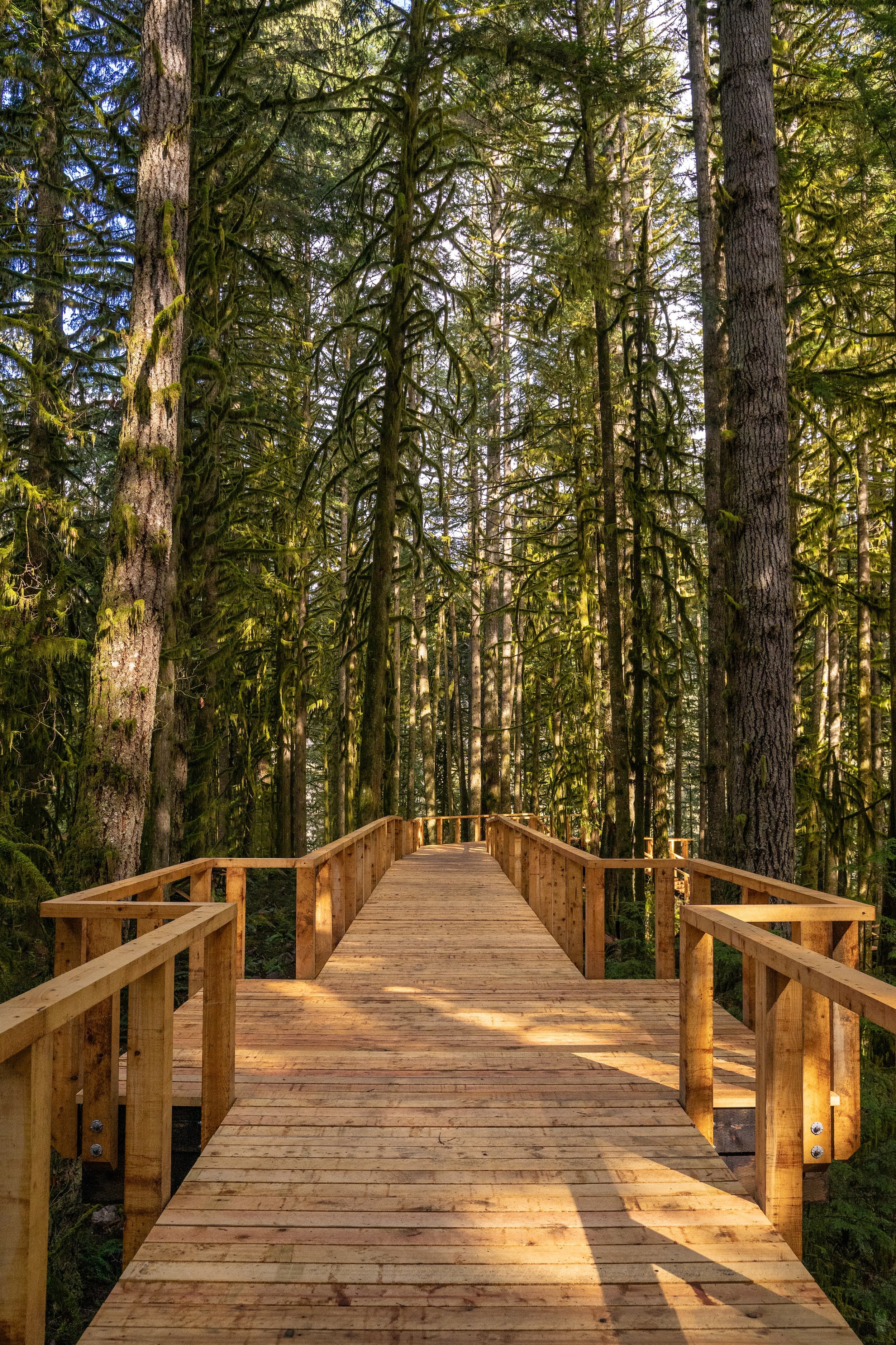 Portrait_walkway-2.jpg