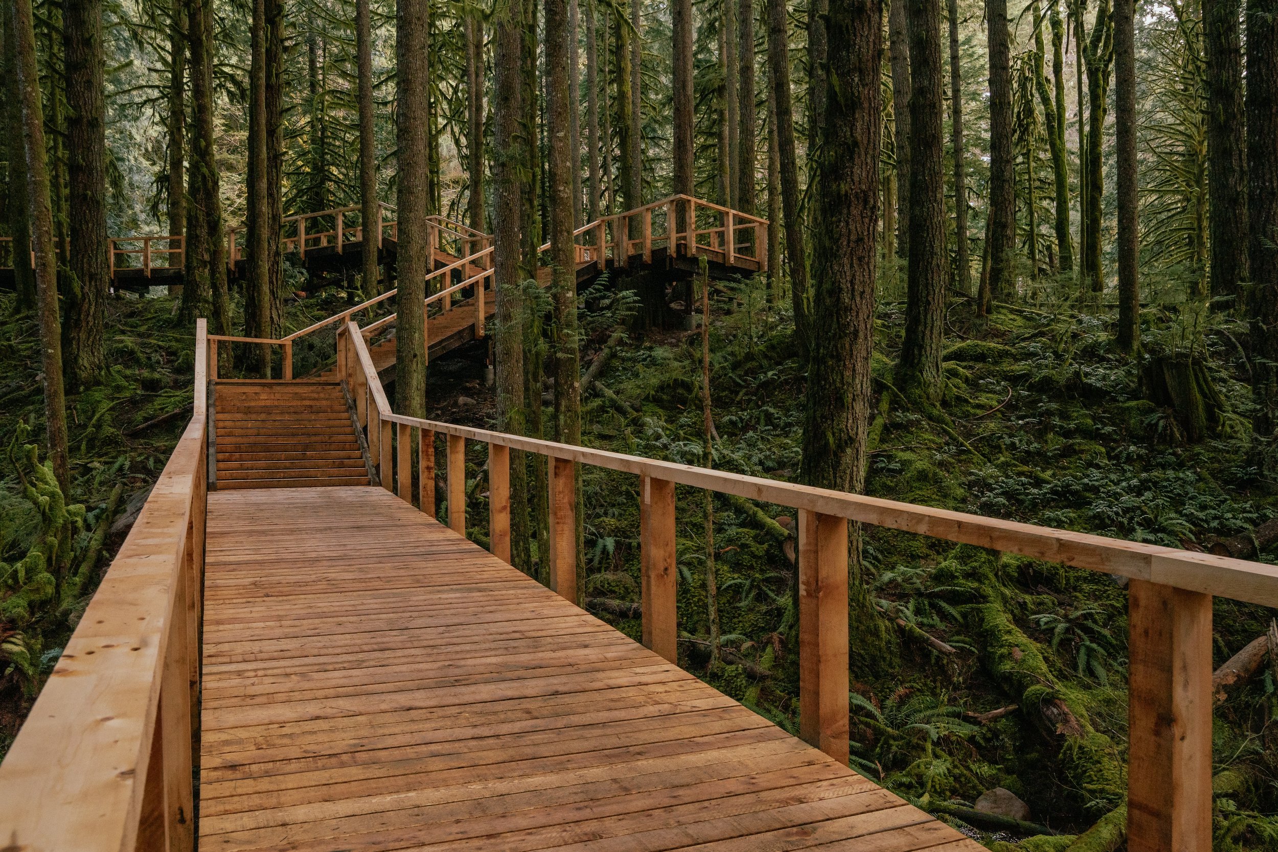 Landscape_walkway-3.jpg