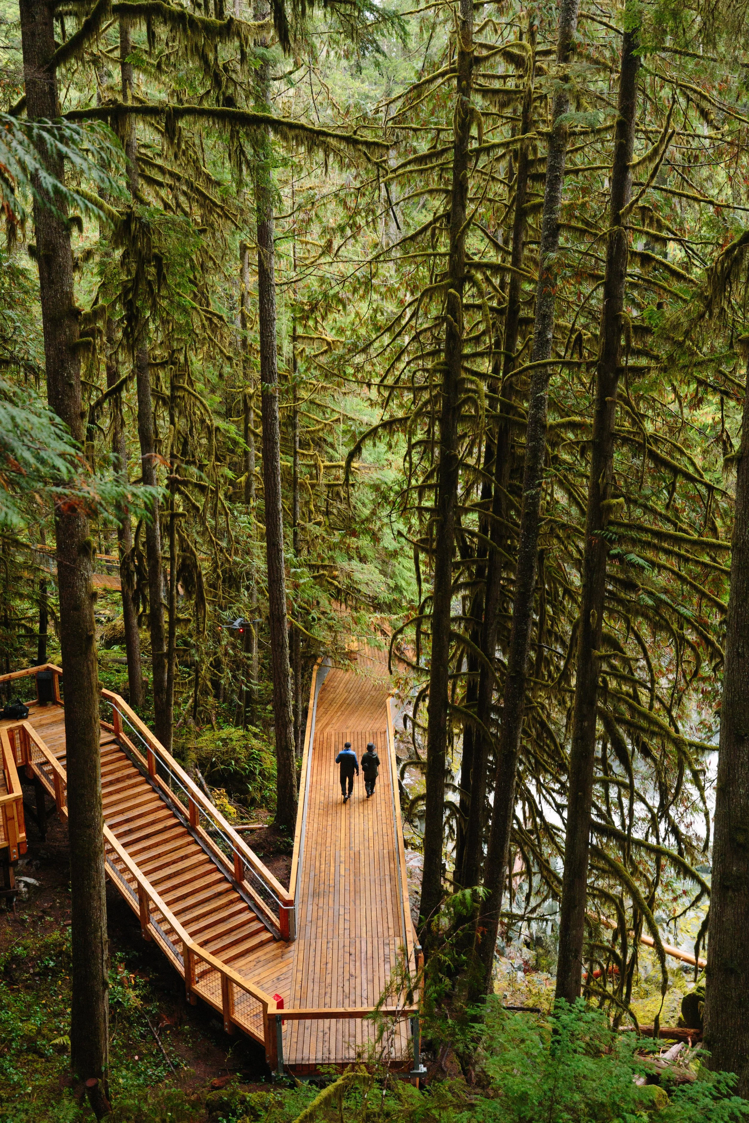 Squamish Canyon Fall Shoot_0050.JPG