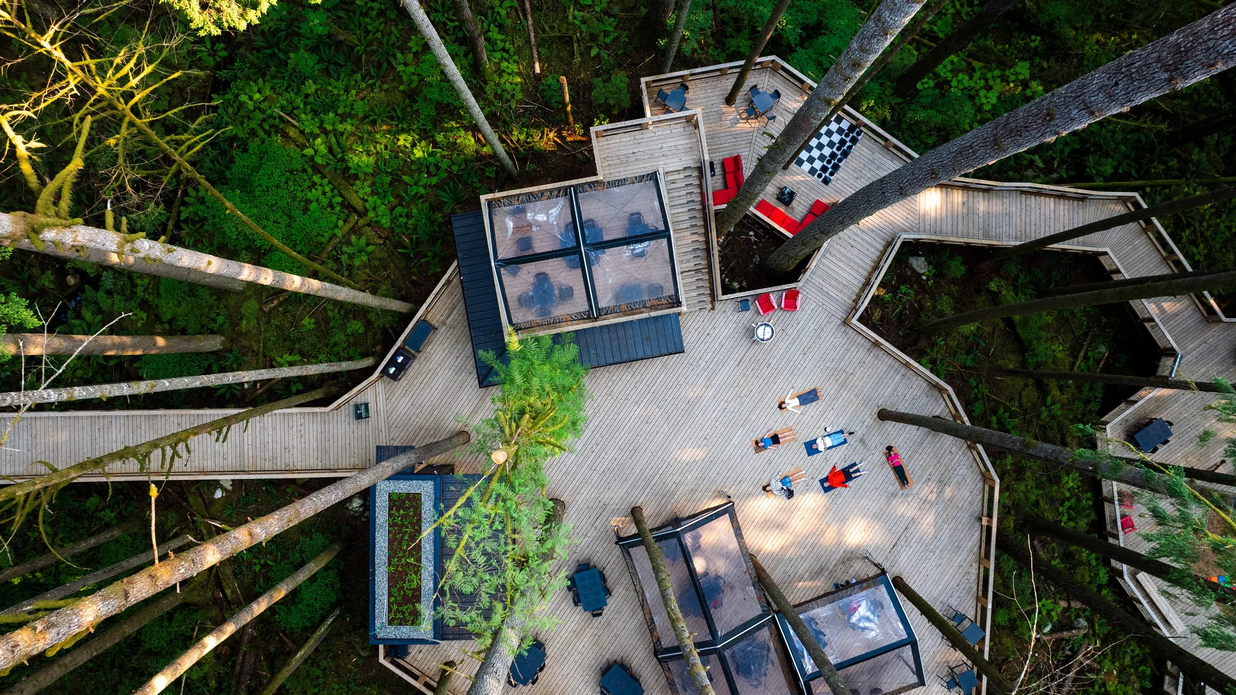 DJI_20260804085332_0230_D-2.jpg
