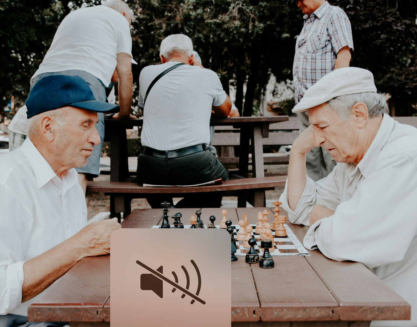 Meet in the Wild Senior